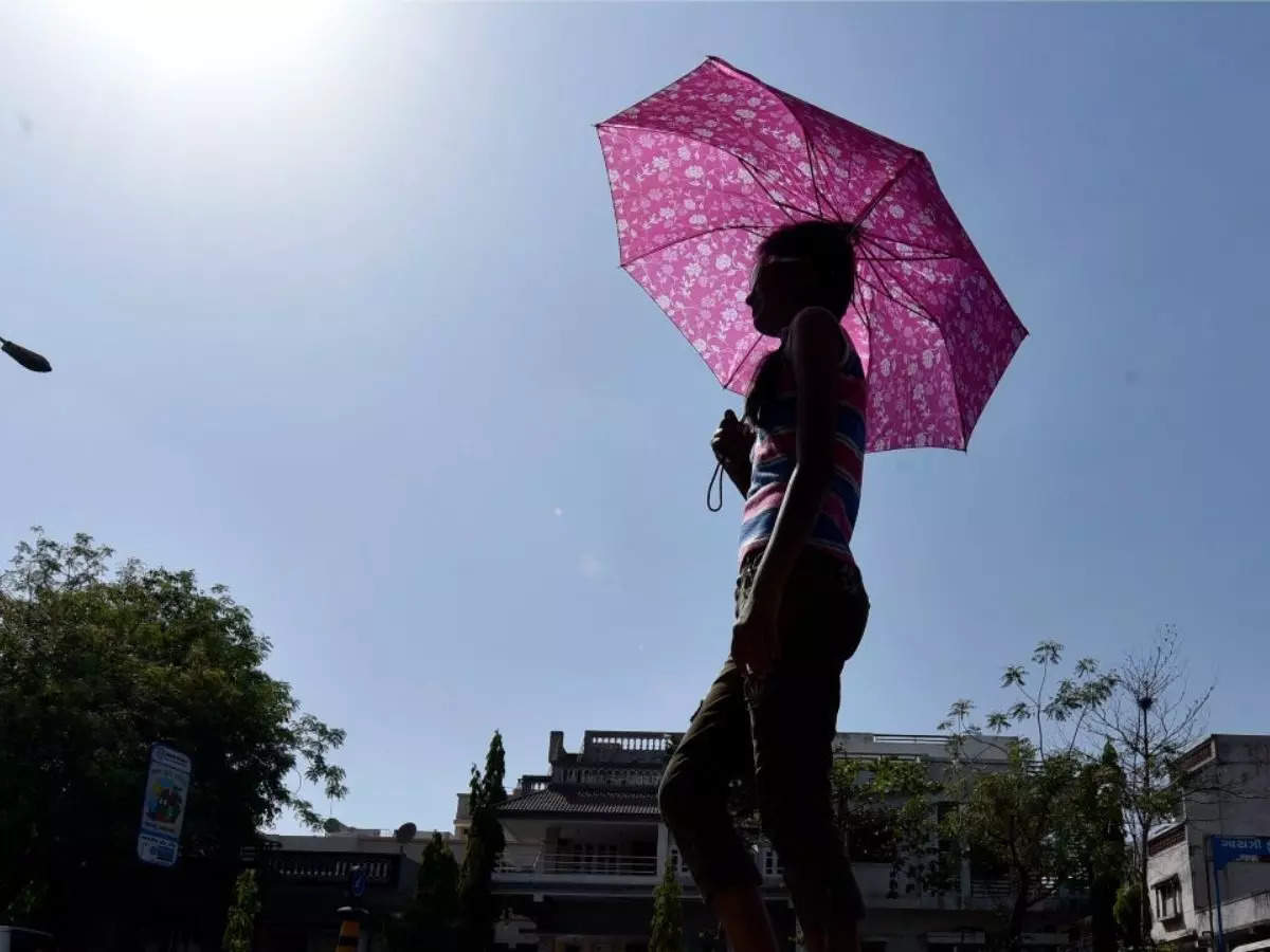 Heatwave Grips India - Bihar, West Bengal, Jharkhand To Record Highest ...