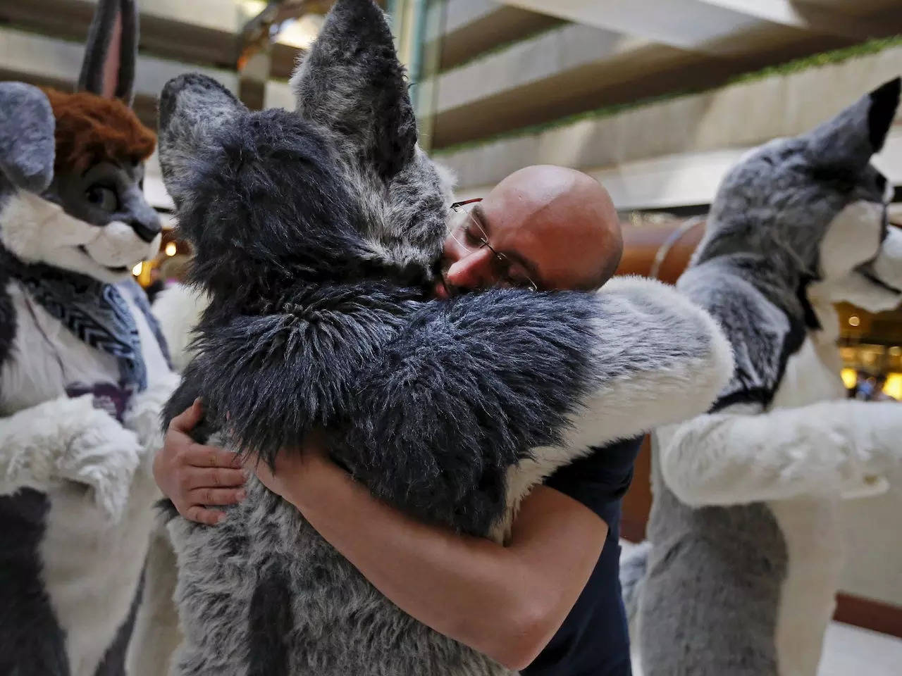 A Florida school district banned 'furry attire.' It's a response to claims students identify as anim