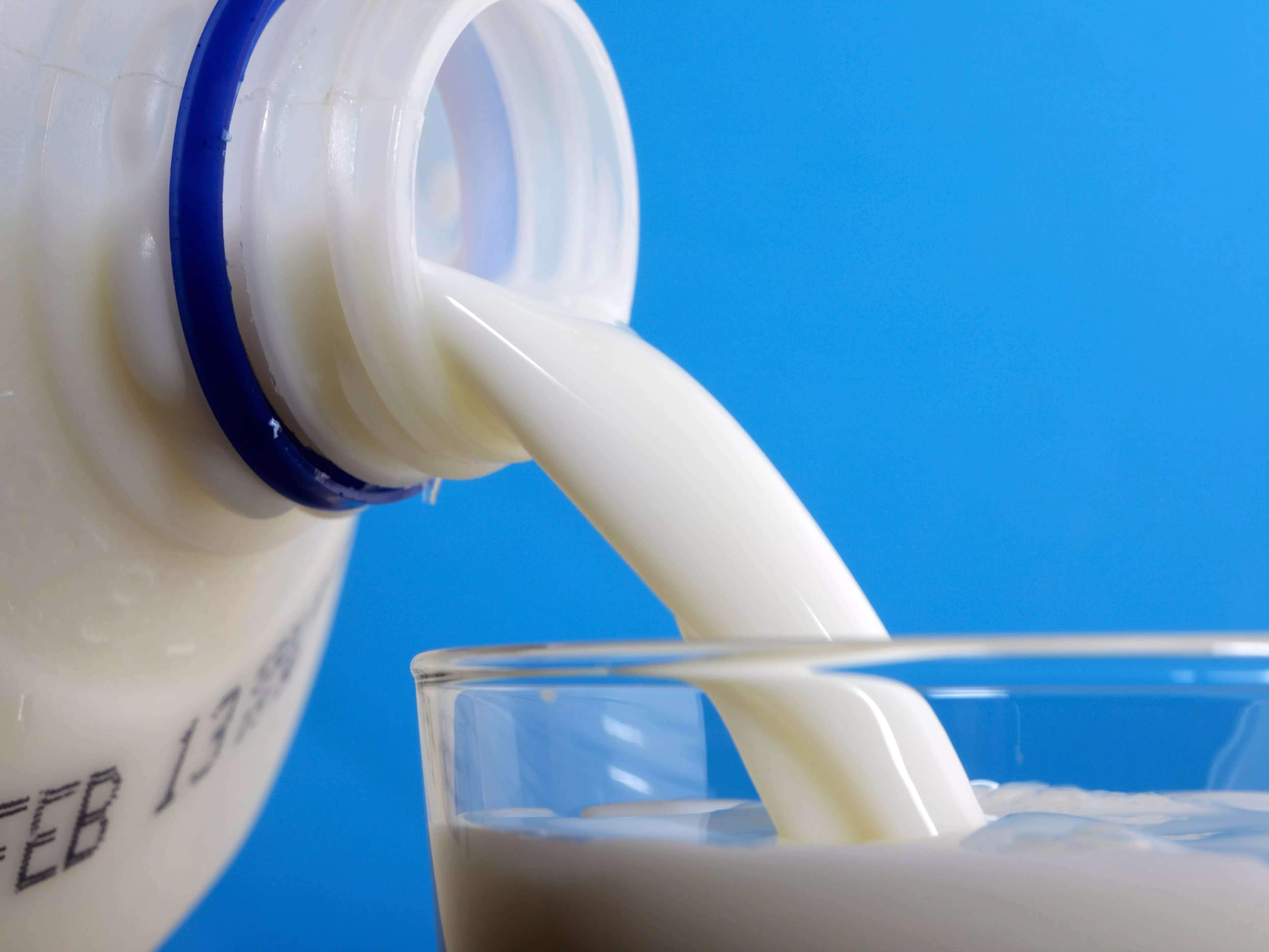 New research says cow's milk is better for you than oat milk or other plant-based vegan alternatives - Business Insider India
