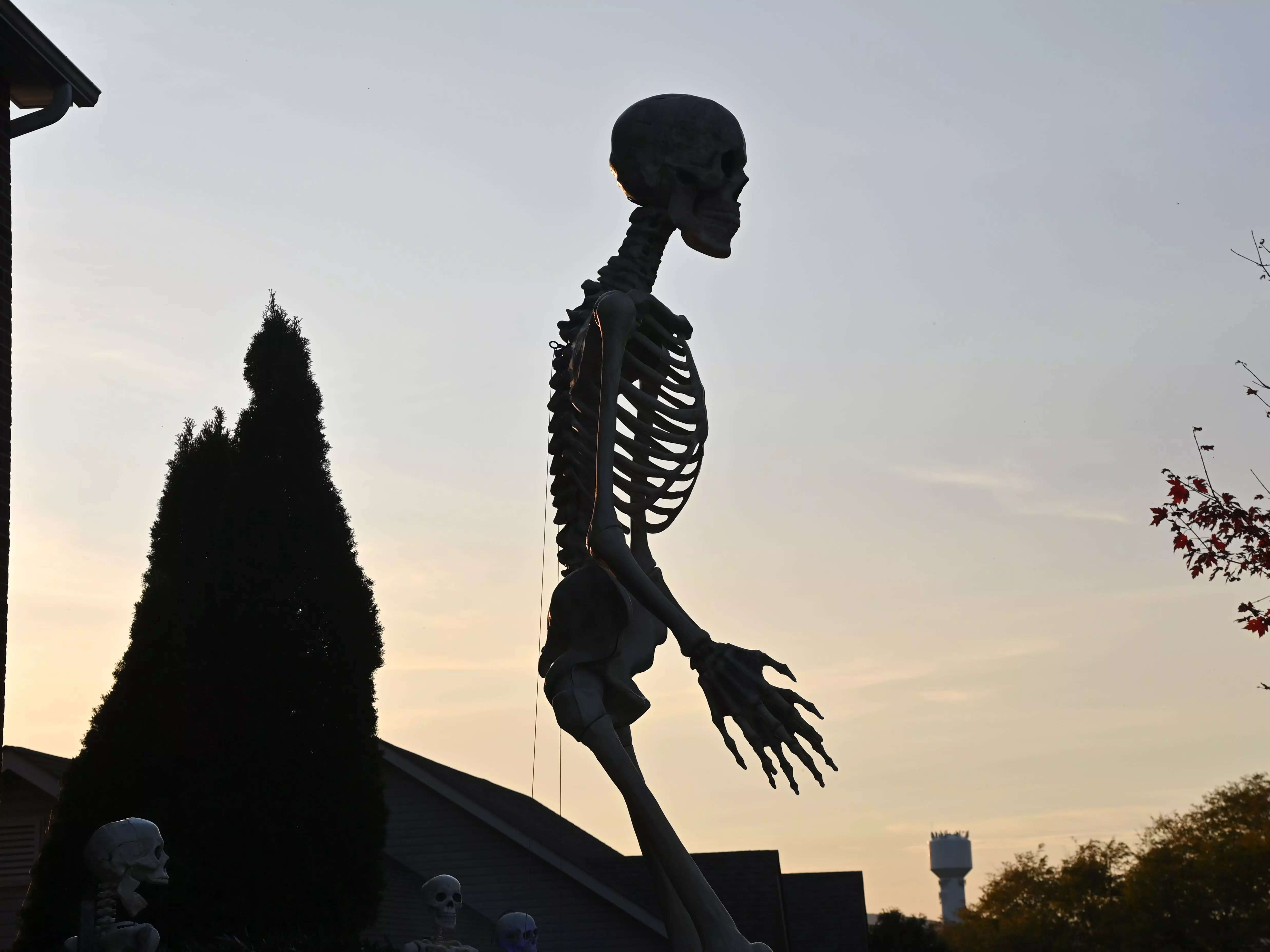 Home Depot's $300 12-foot Skeleton Is Already Sold Out Online For The ...