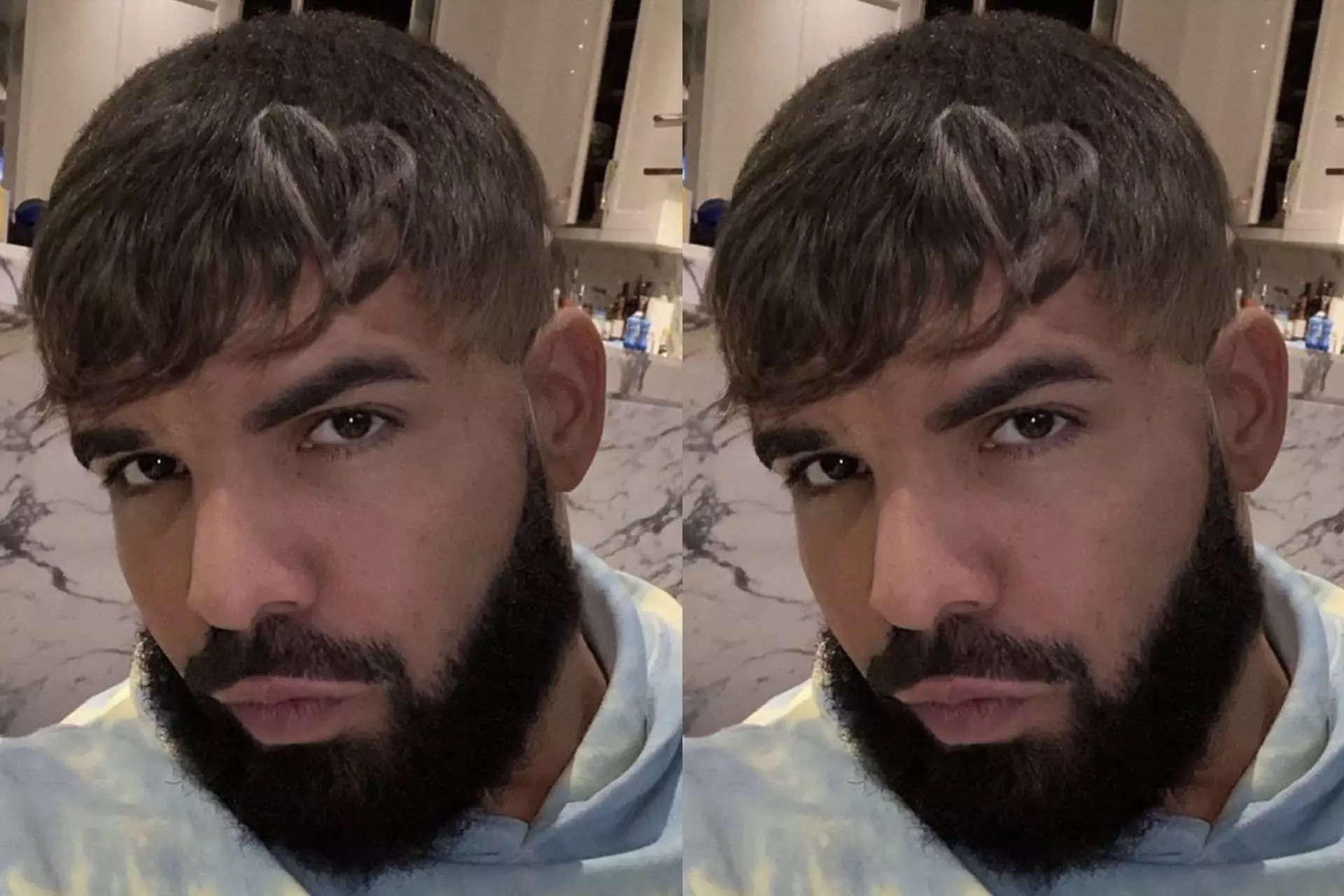 Drake the type to go to the hairdresser and go through multiple random  hairstyles saying “no…nah…uh-uh…too crazy…too 21…perfect!” : r/DrakeTheType