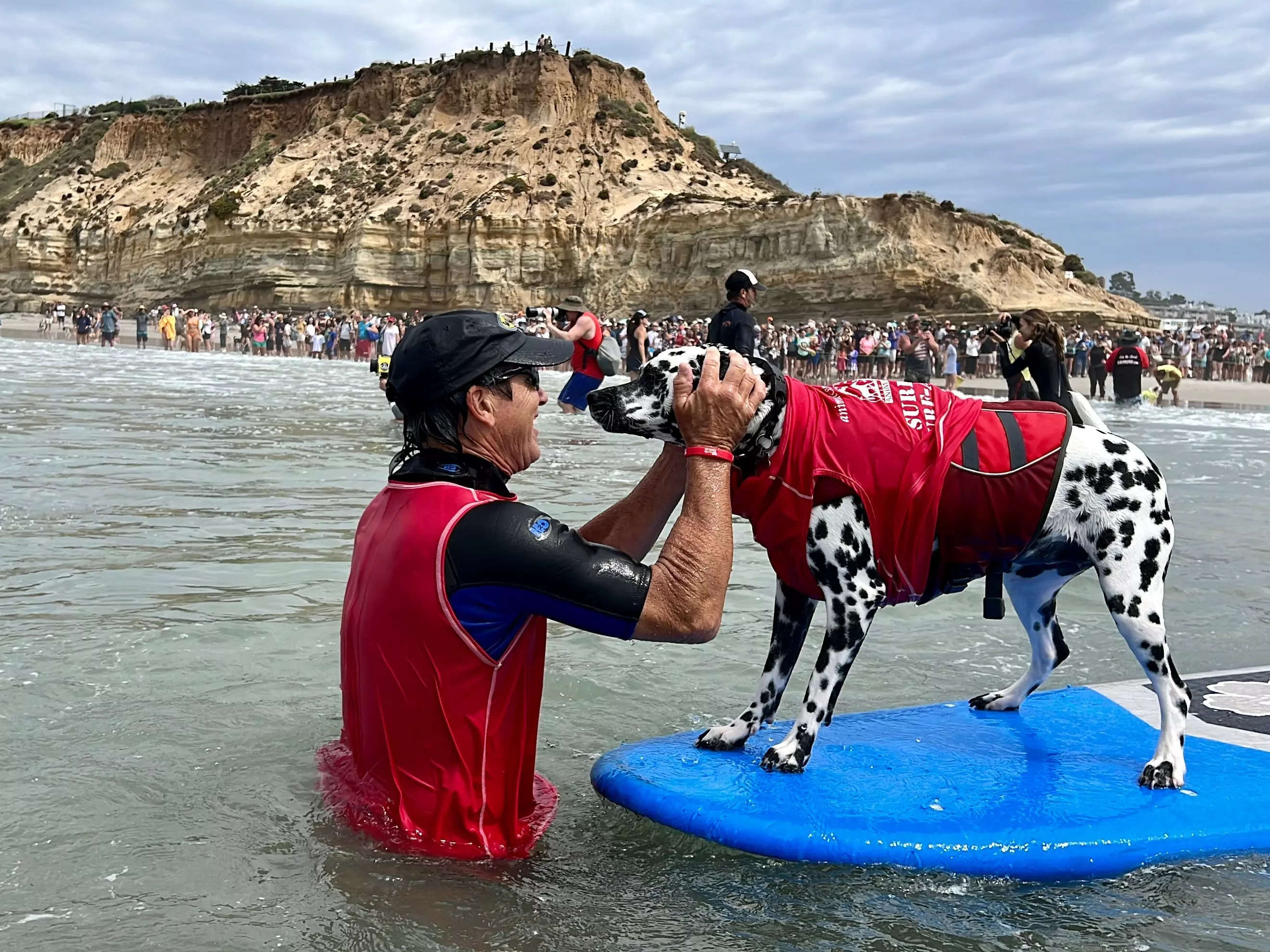 I took my 12-year-old son to watch dogs surf in San Diego. As an aspiring veterinarian, he had a blast.