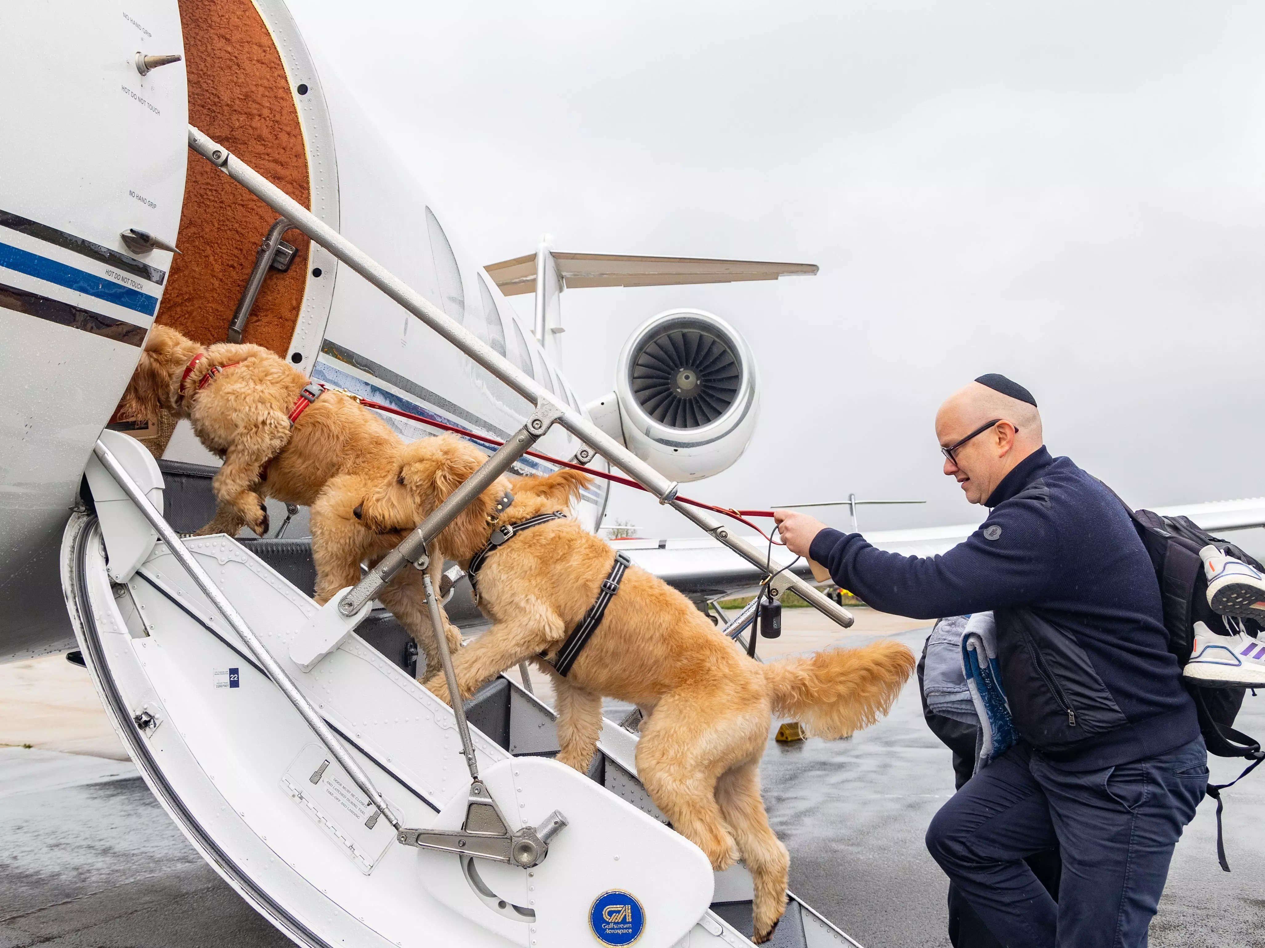 Jets' Flight Crew: Time to sign up to get your kicks as a