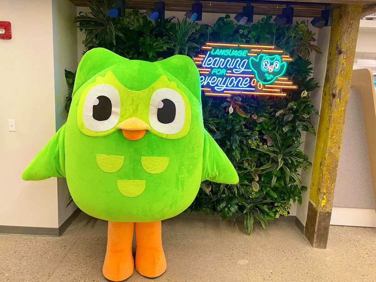 a-fake-job-listing-for-an-owl-trainer-for-the-duolingo-mascot-has