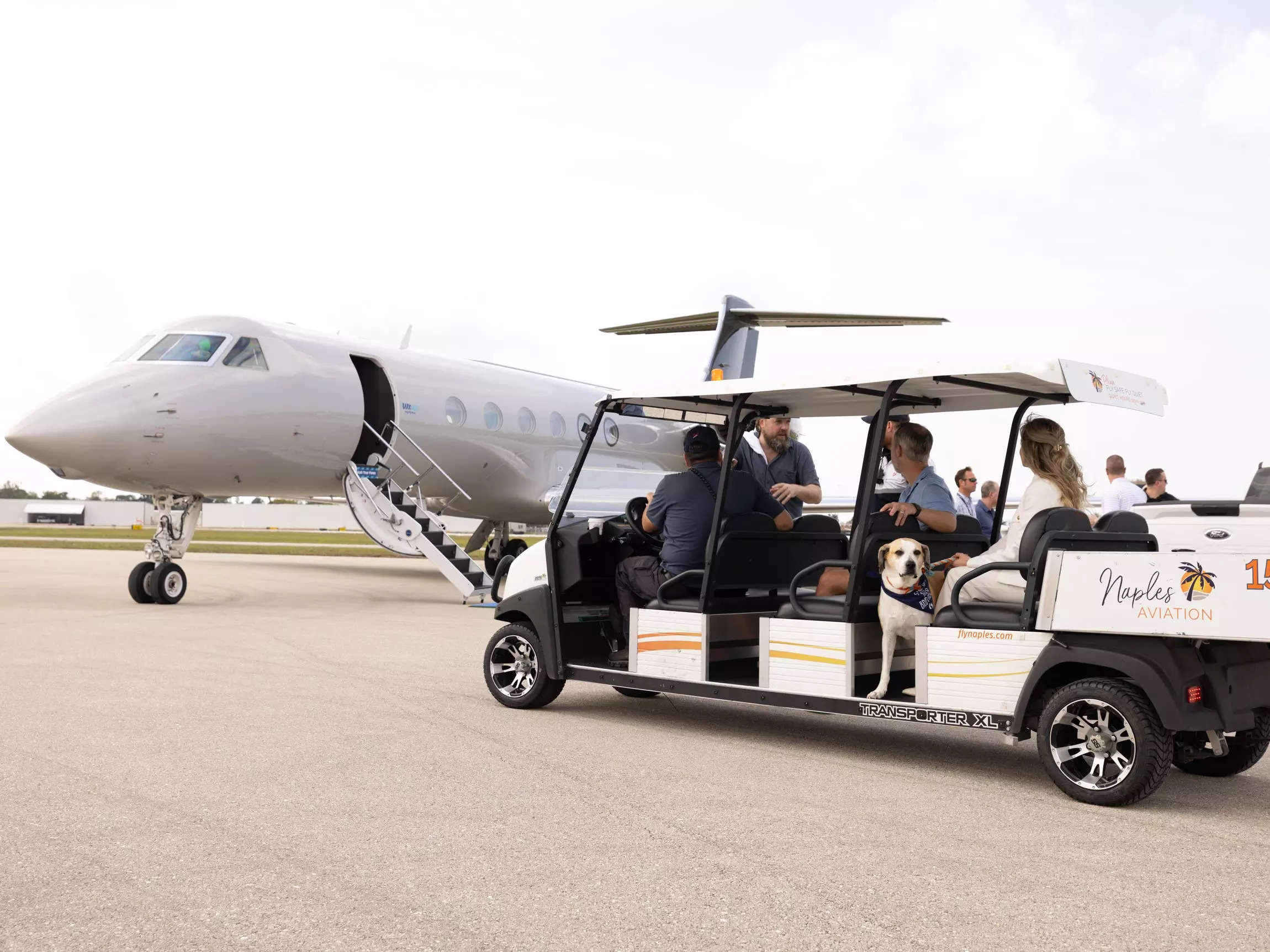 Barkbox Is Launching An Ultra-luxury Private Jet Air Carrier For People 