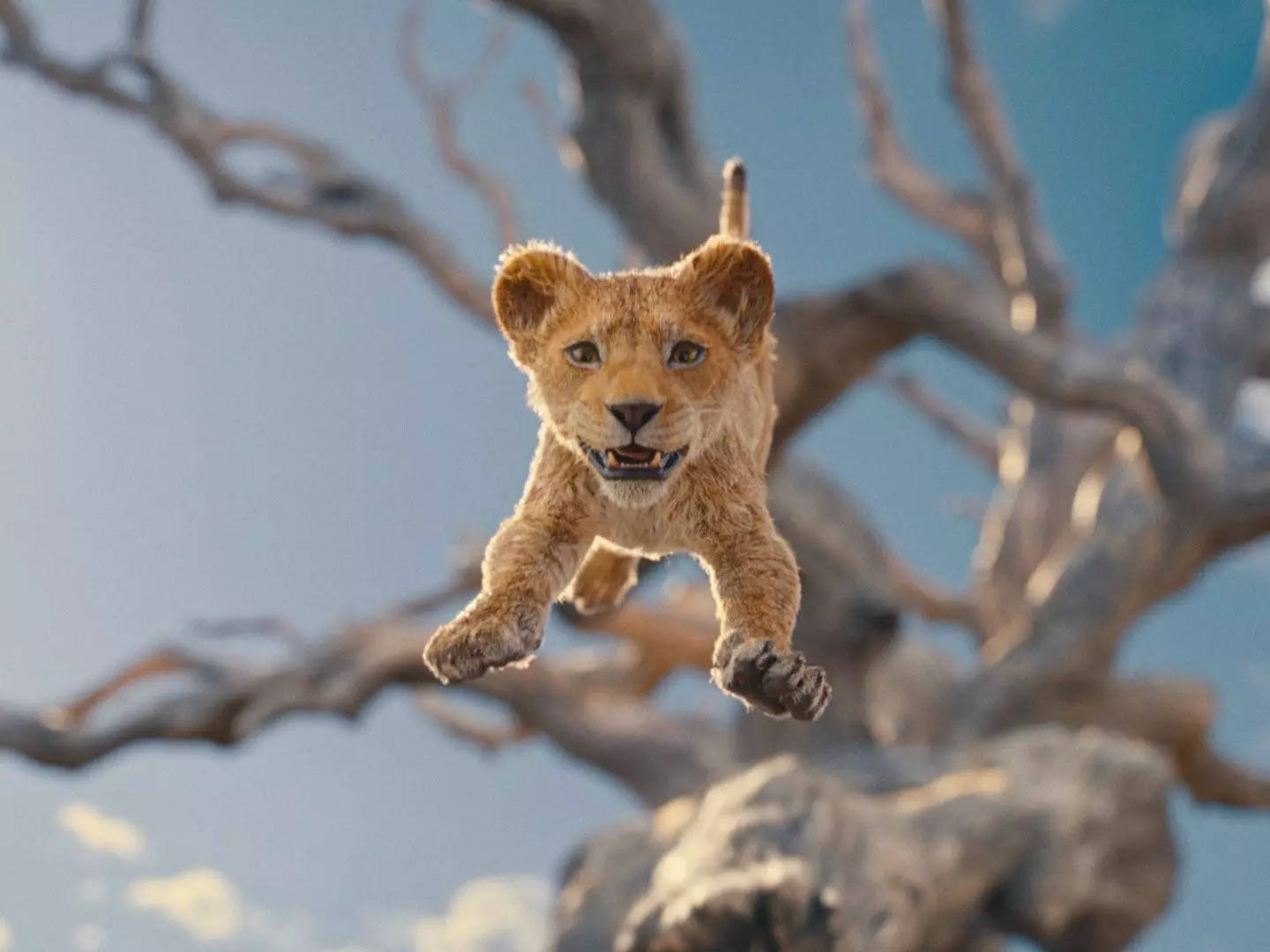 The liveaction 'Lion King' prequel 'Mufasa' will star both Beyoncé and