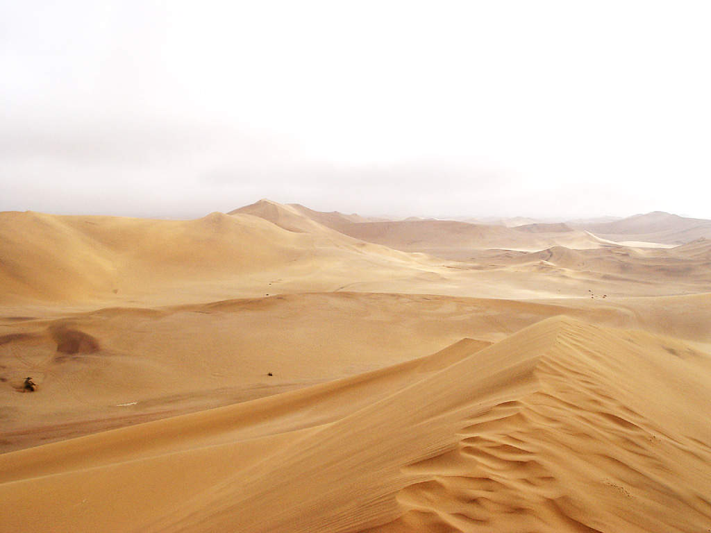 Красные дюны в Марокко. Samalayuca Dune fields.