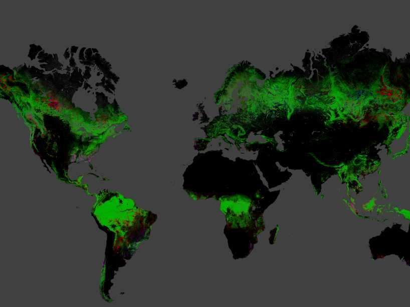 new-maps-show-where-earth-s-forests-are-being-destroyed-business