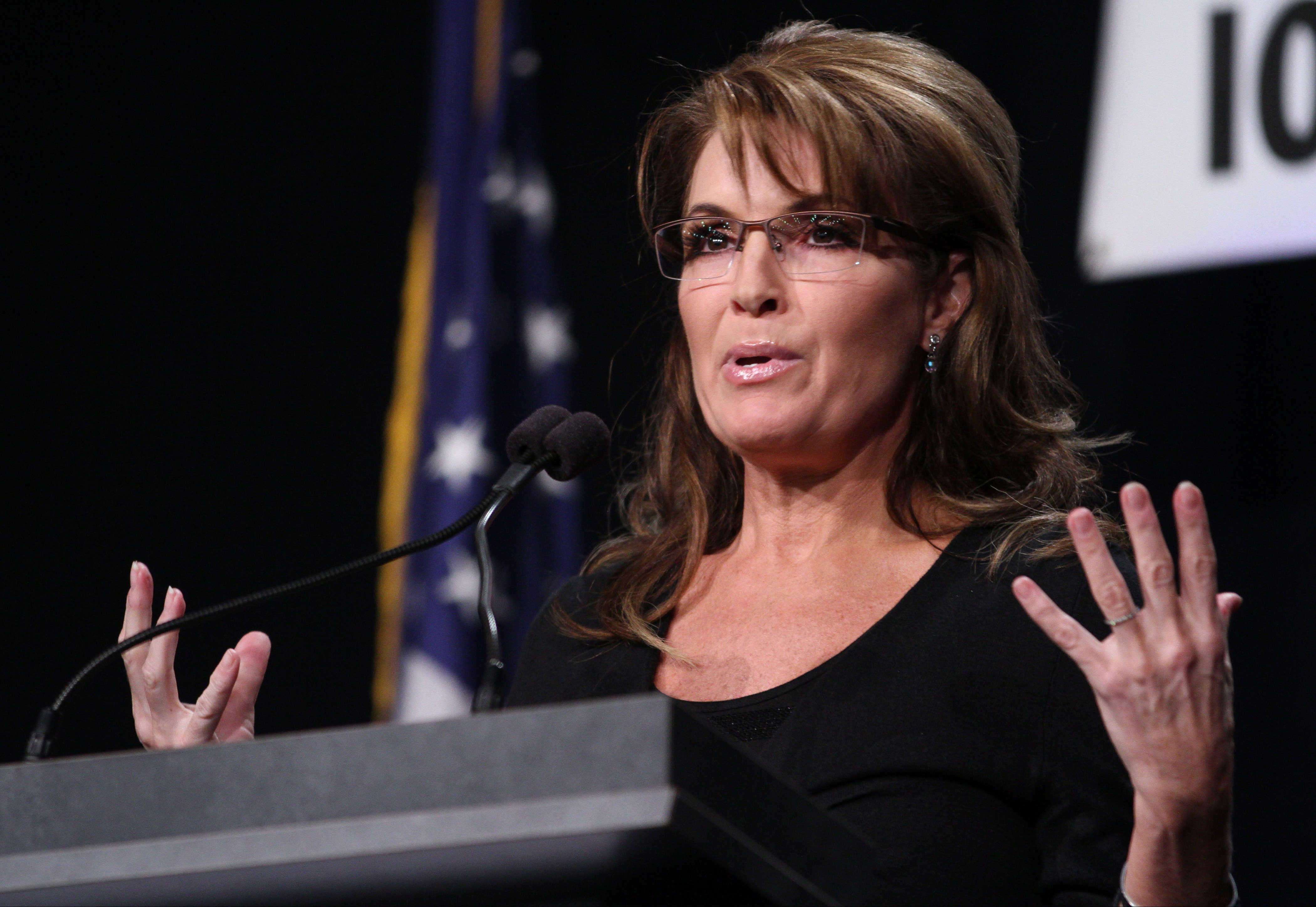 Sarah Palin Cfake