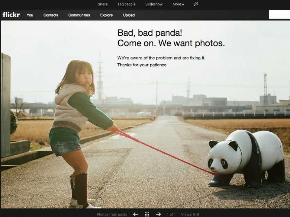 bad-bad-panda-here-s-the-story-behind-the-most-famous-photo-on