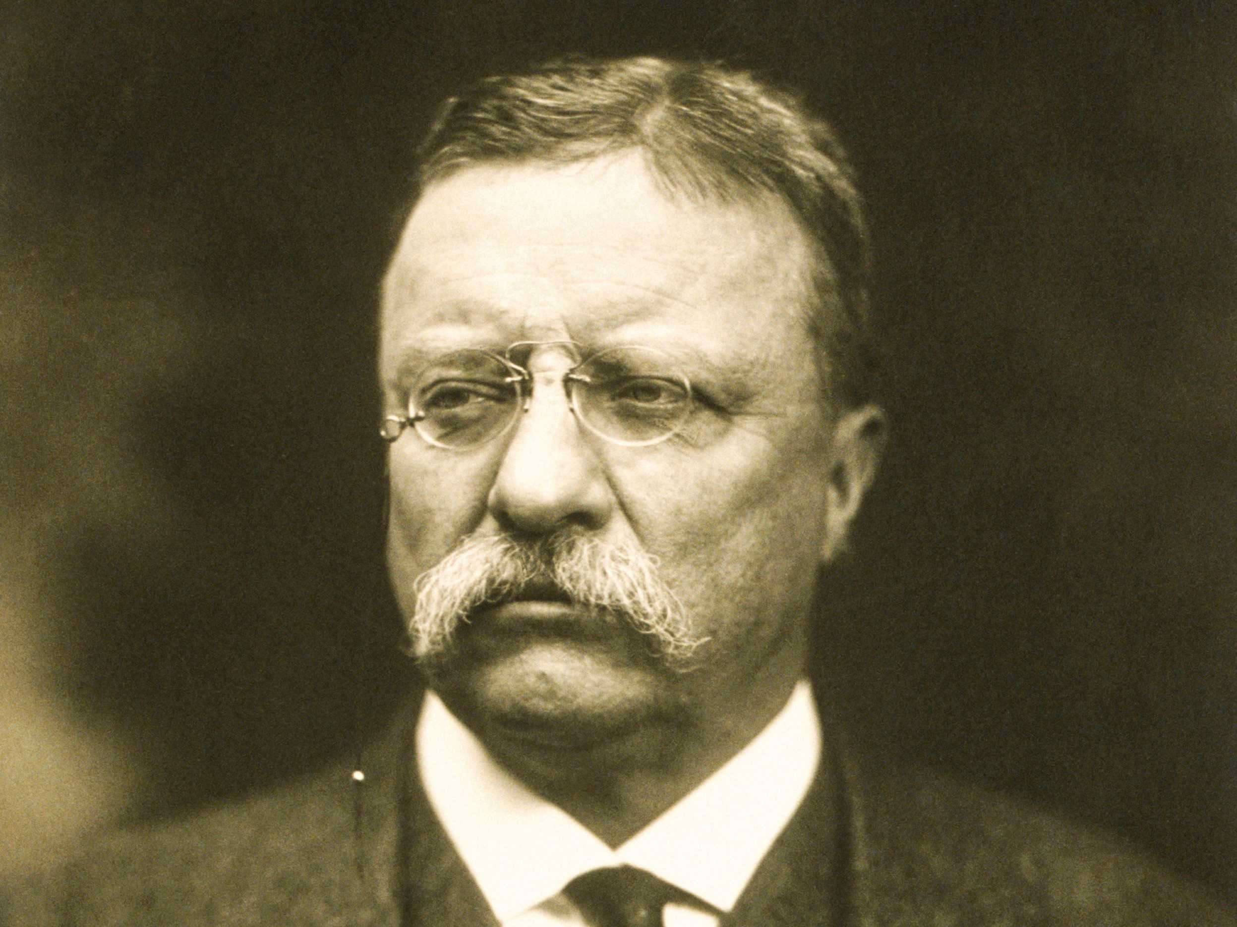 Former U.S. President Theodore Roosevelt attended Harvard in 1876 and ...