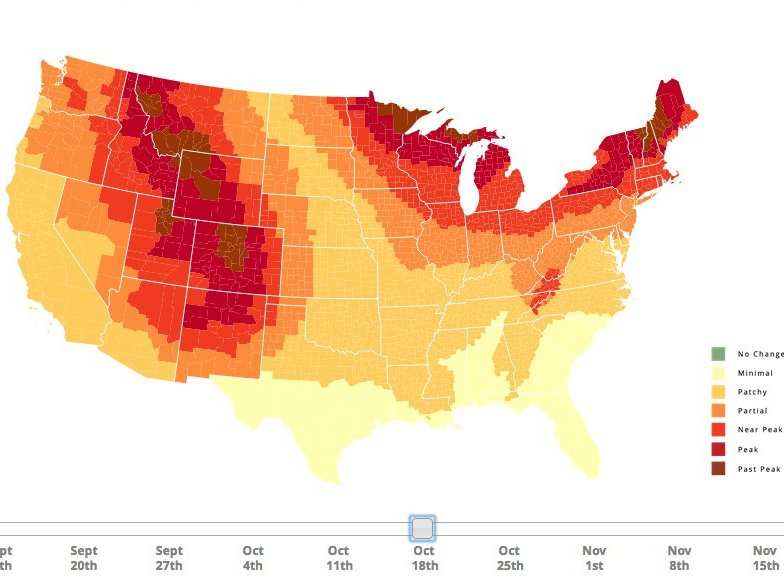 Map Shows When Each State Will Reach 'Peak' Fall Foliage Business