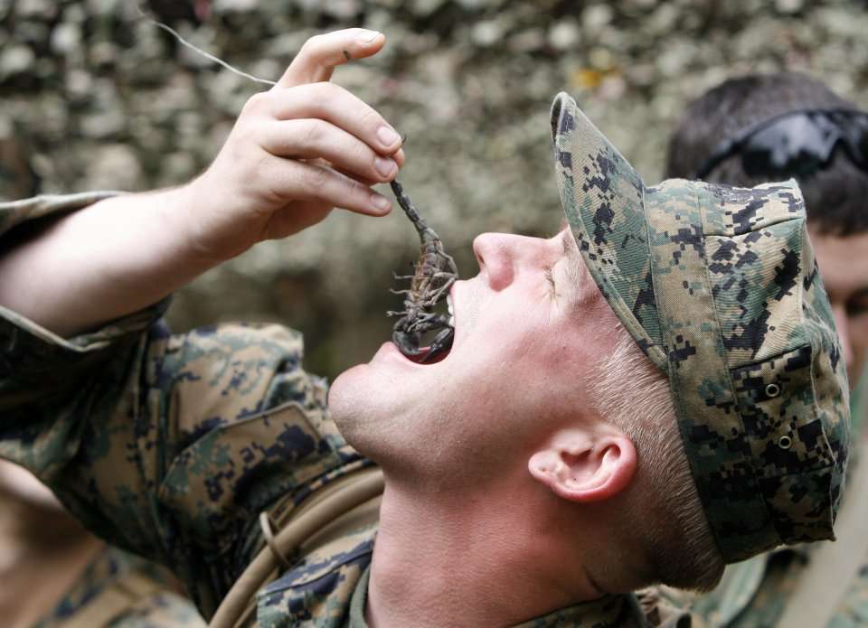 Incredible photos of US Marines learning how to survive in the jungle ...