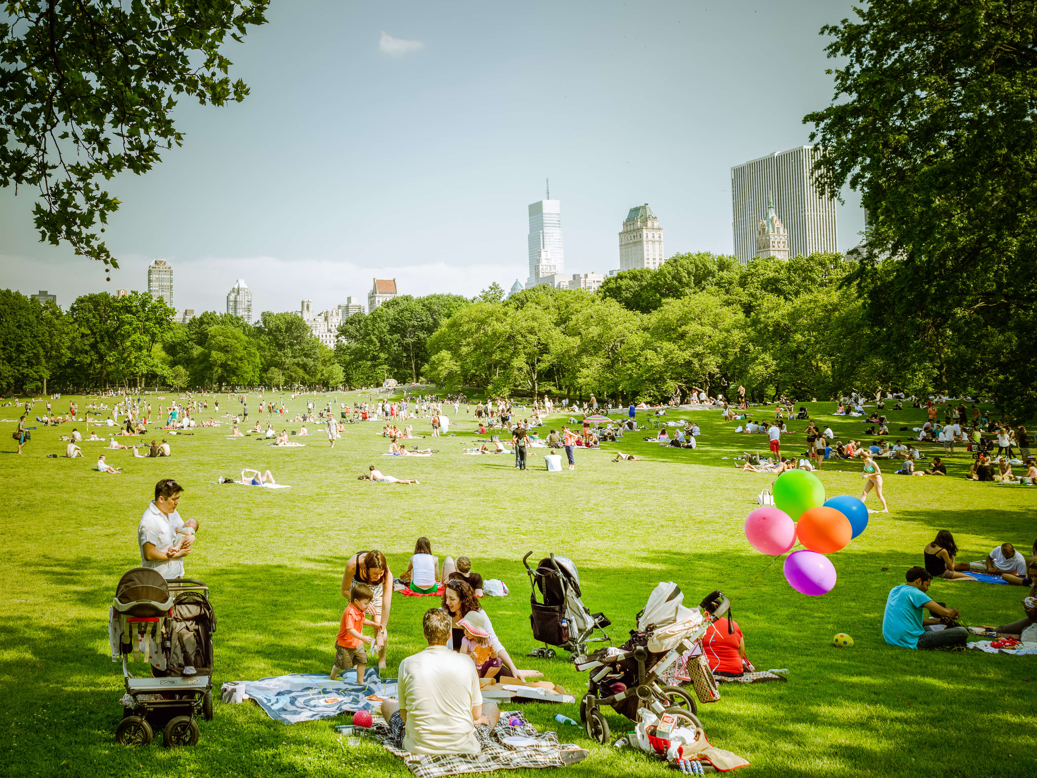 Many park. Центральный парк Нью-Йорк пикник. Централ парк Нью-Йорка газон. Большая лужайка в Центральном парке в Нью-Йорке. Парк США пикник на лужайке.