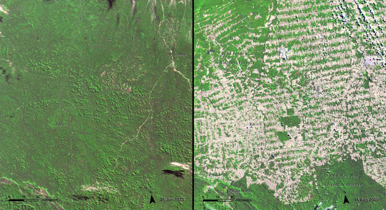 Deforestation in Rondonia, Brazil, 1975 vs. 2009 | Business Insider India