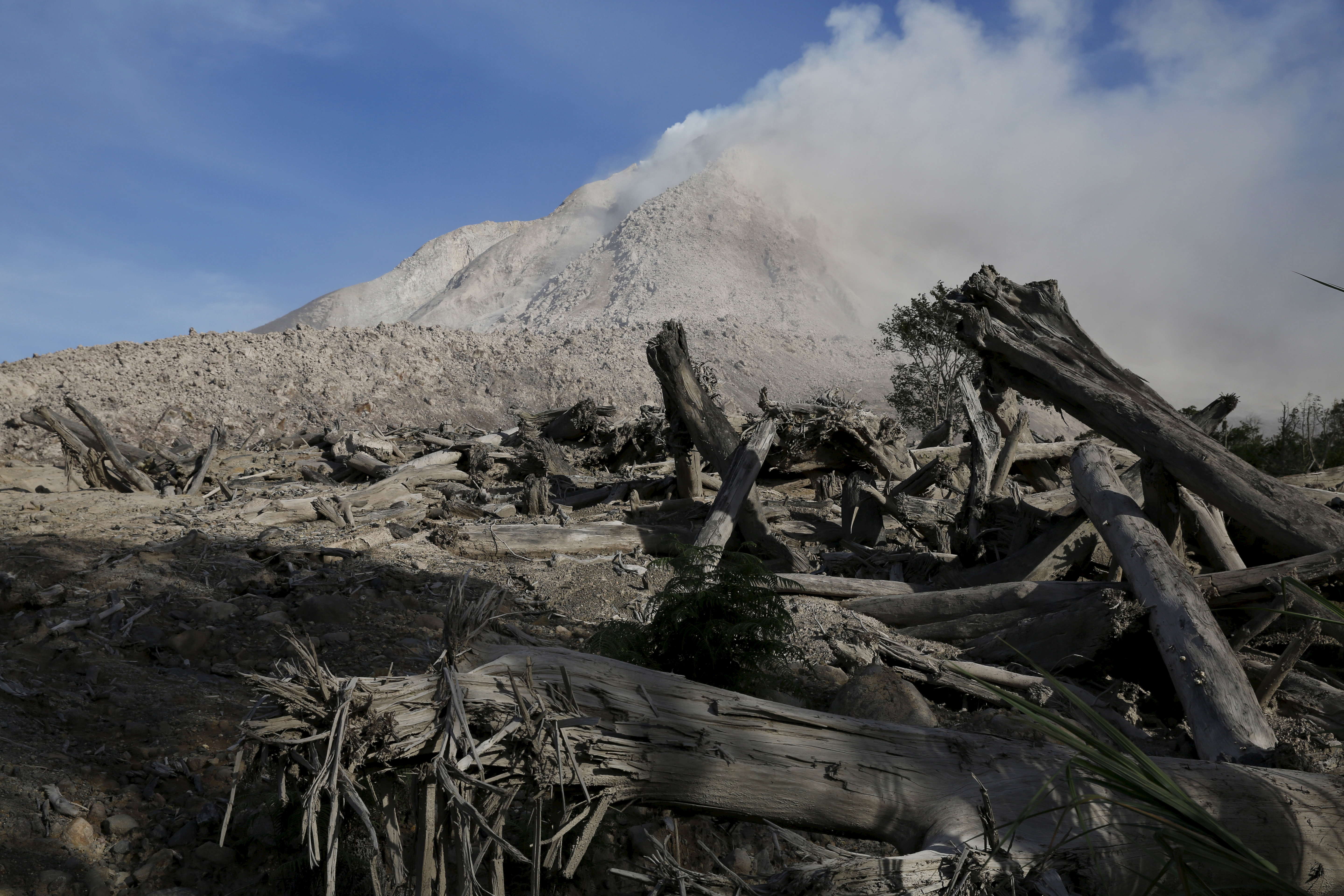 The Toxic Ash And Molten Lava Have Engulfed And Destroyed Large   The Toxic Ash And Molten Lava Have Engulfed And Destroyed Large Expanses Of Wildlife And Foliage An Eruption In 2013 Caused Over 100 Million Of Damage  