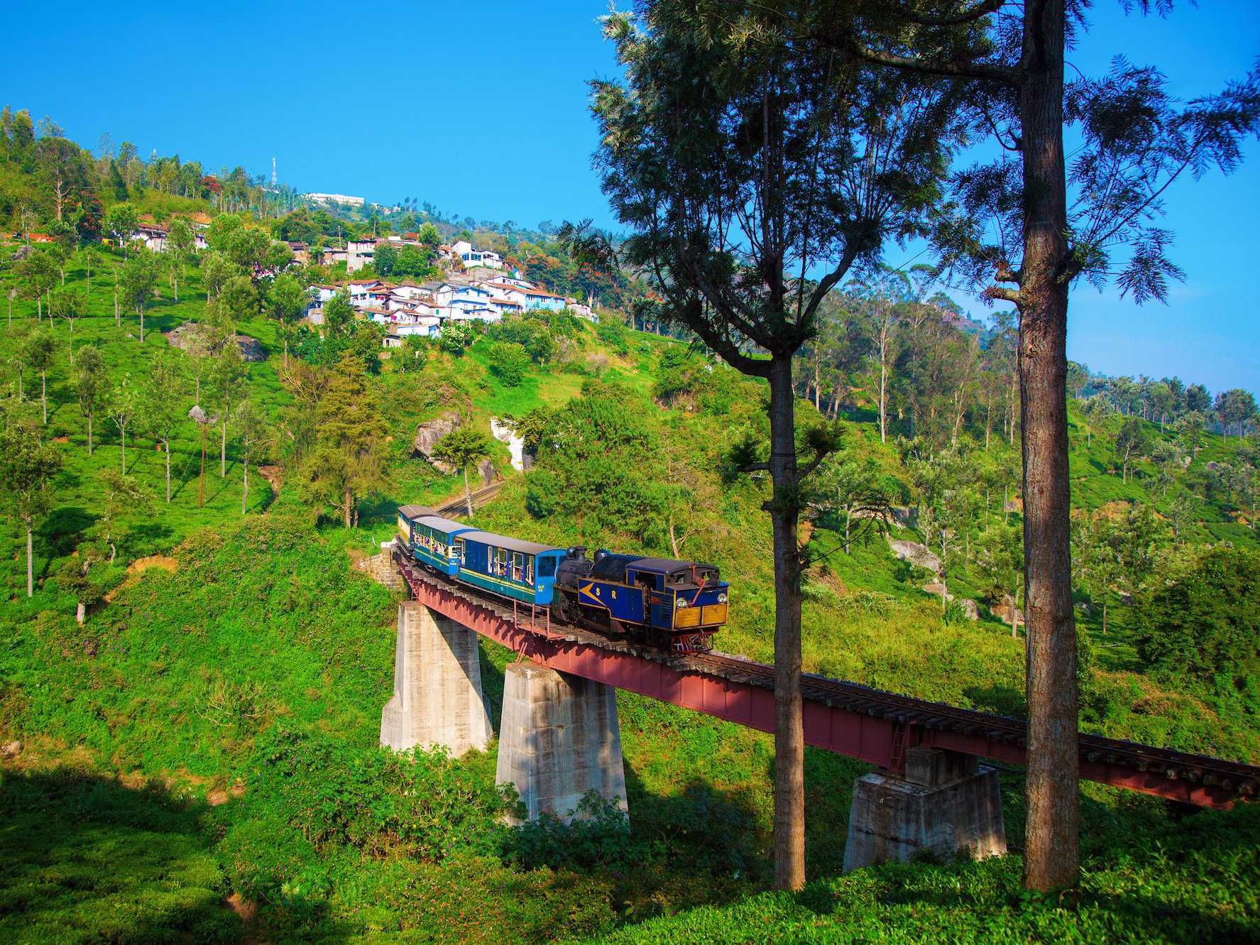 Mountain railway. Горная железная дорога Нилгири Тамилнад. Ooty Индия. Горные железные дороги Индии ЮНЕСКО. Нилгири Индия фото.