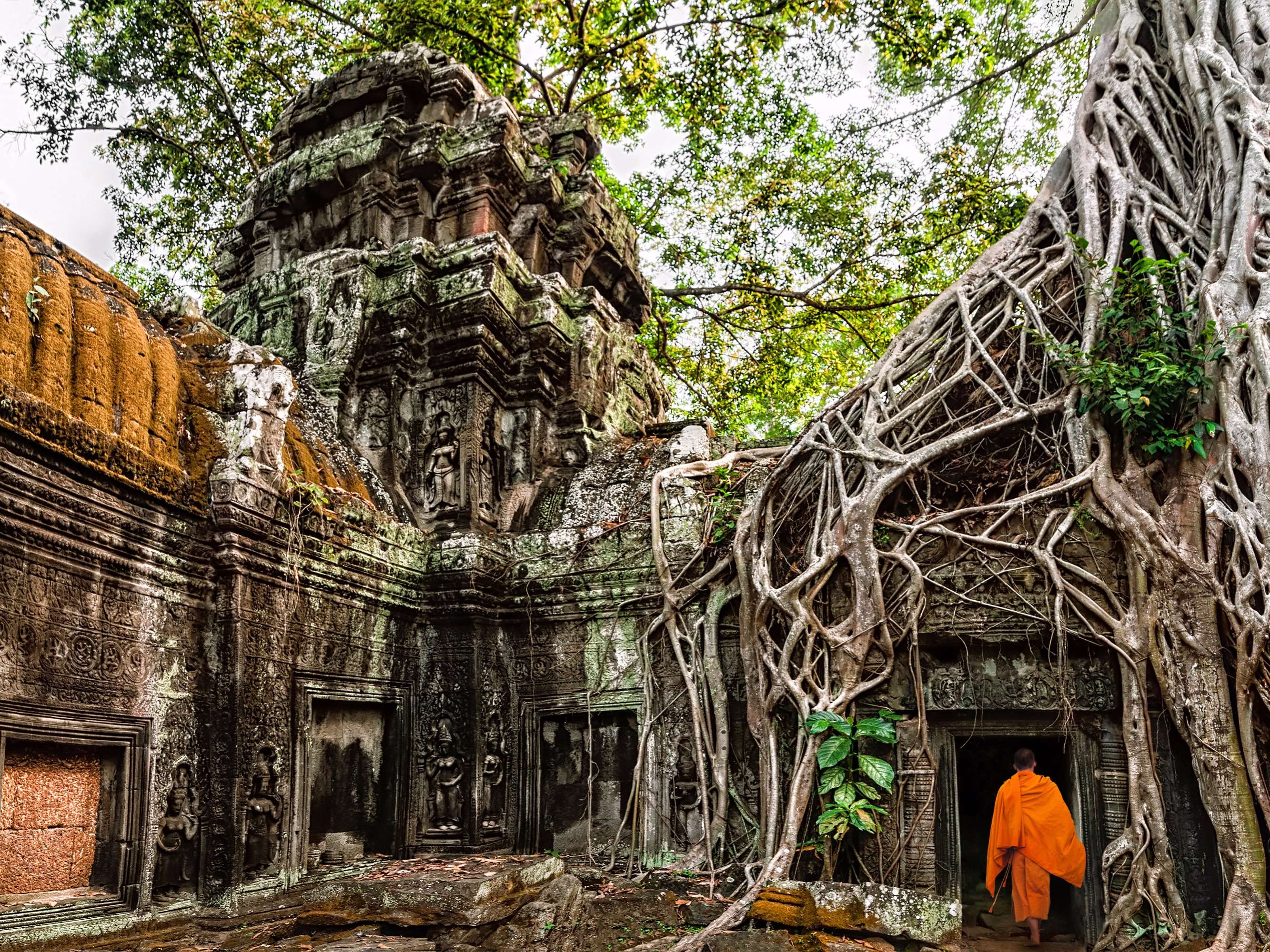 Ta Prohm Is One Of The Most Photographed Temples And Famous For