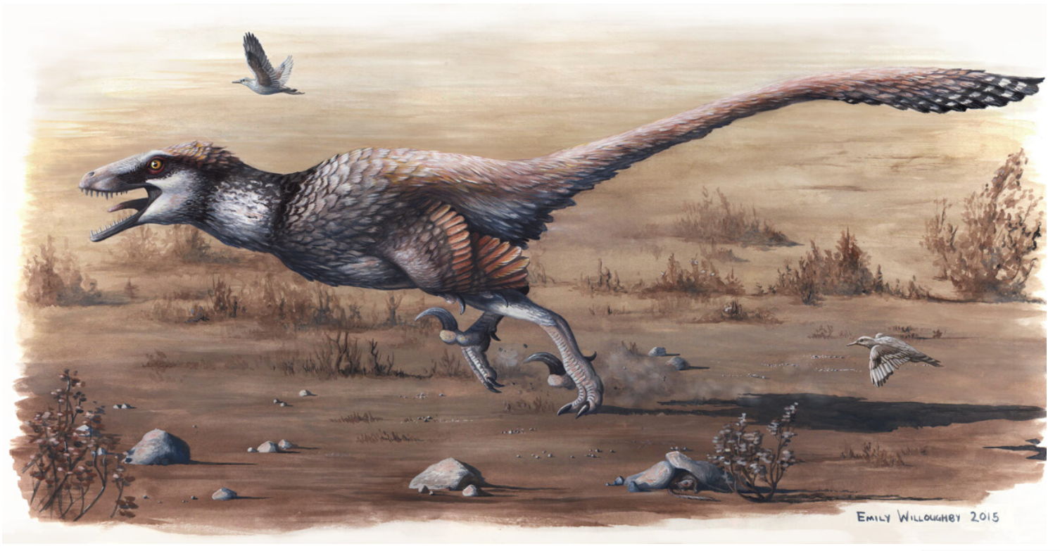 scientists-discovered-a-new-raptor-species-in-north-dakota-the-17-foot