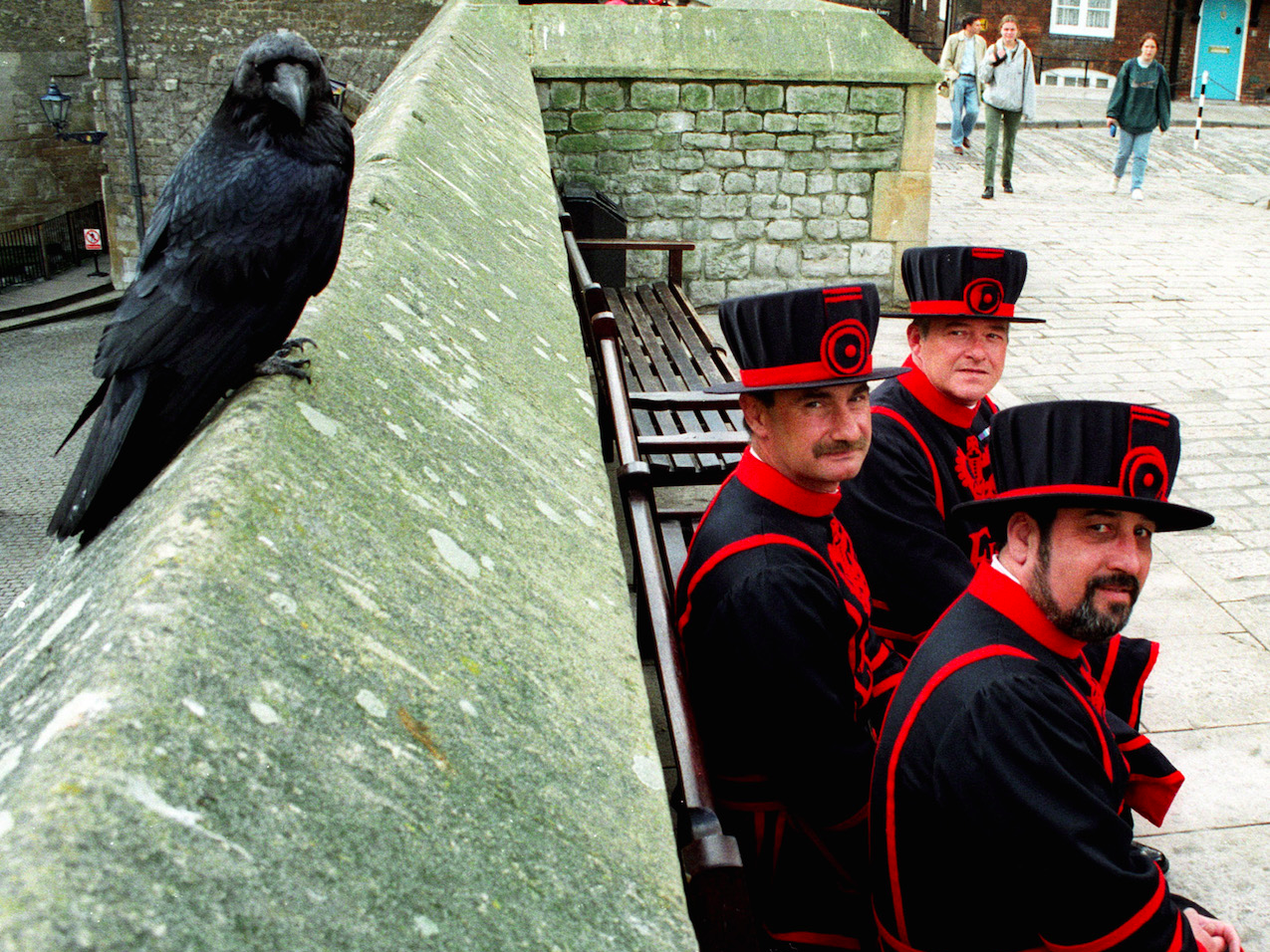 The tower of london legend. Тауэр бифитеры вороны. Тауэр в Лондоне вороны. Тауэр в Лондоне вороны бифитеры. Вороны в лондонском Тауэре.