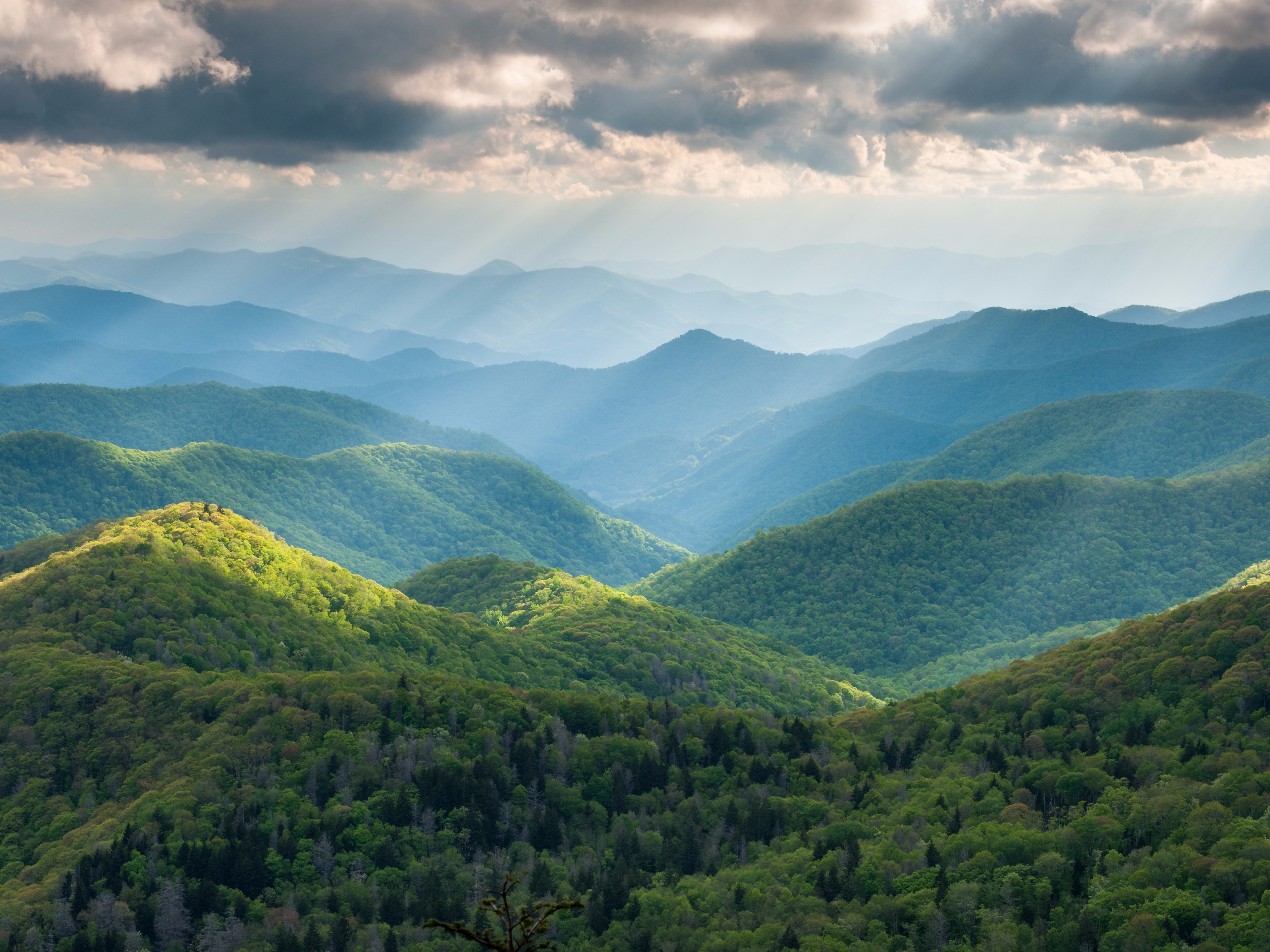 The great mountain. Горы Аппалачи Северная Каролина. Аппалачи США. Грейт Смоки Маунтинс горы Аппалачи. Горная система Аппалачи.