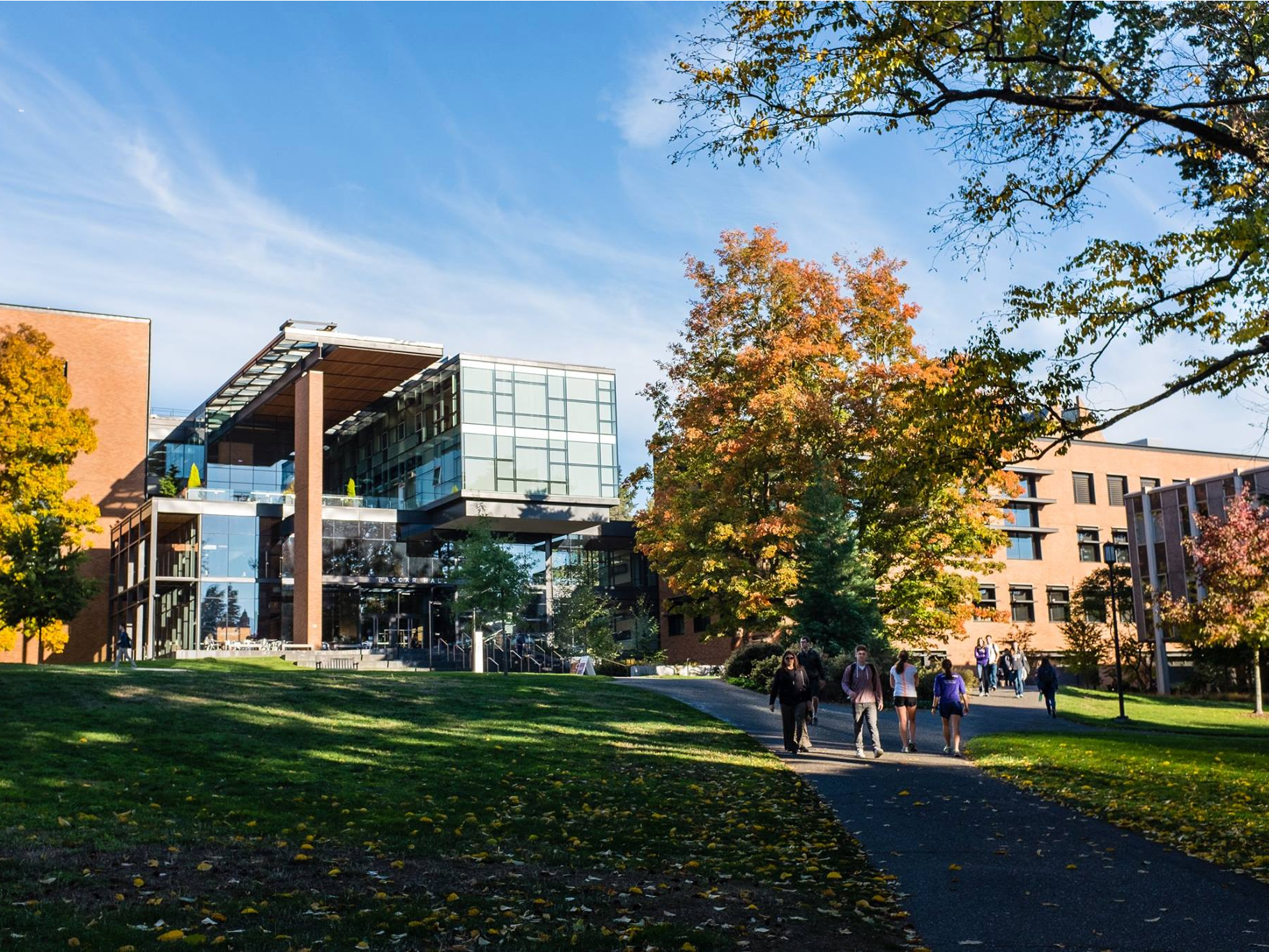 University of school of. Университет Сиэтла. Университеты в Seattle. Вашингтон кий университет. Университет Вашингтона в Сиэтле осень.