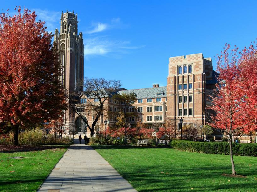 Biggest college. Чикагский университет США. Чикагский университет (University of Chicago), США здание внутри. Лойола университет в Чикаго. Лондон Стейт Юниверсити.