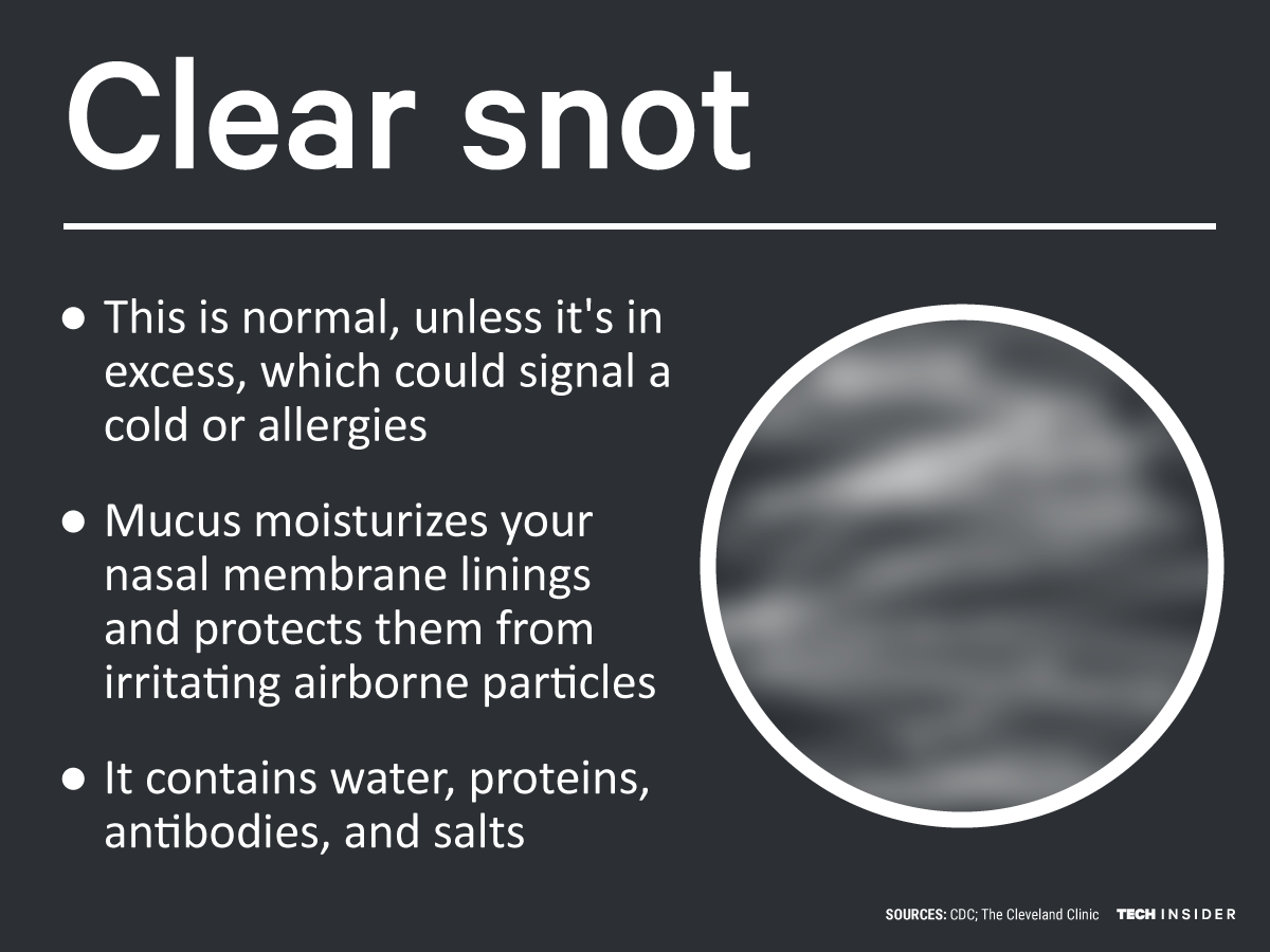 here-s-what-the-color-of-your-snot-really-means-business-insider-india