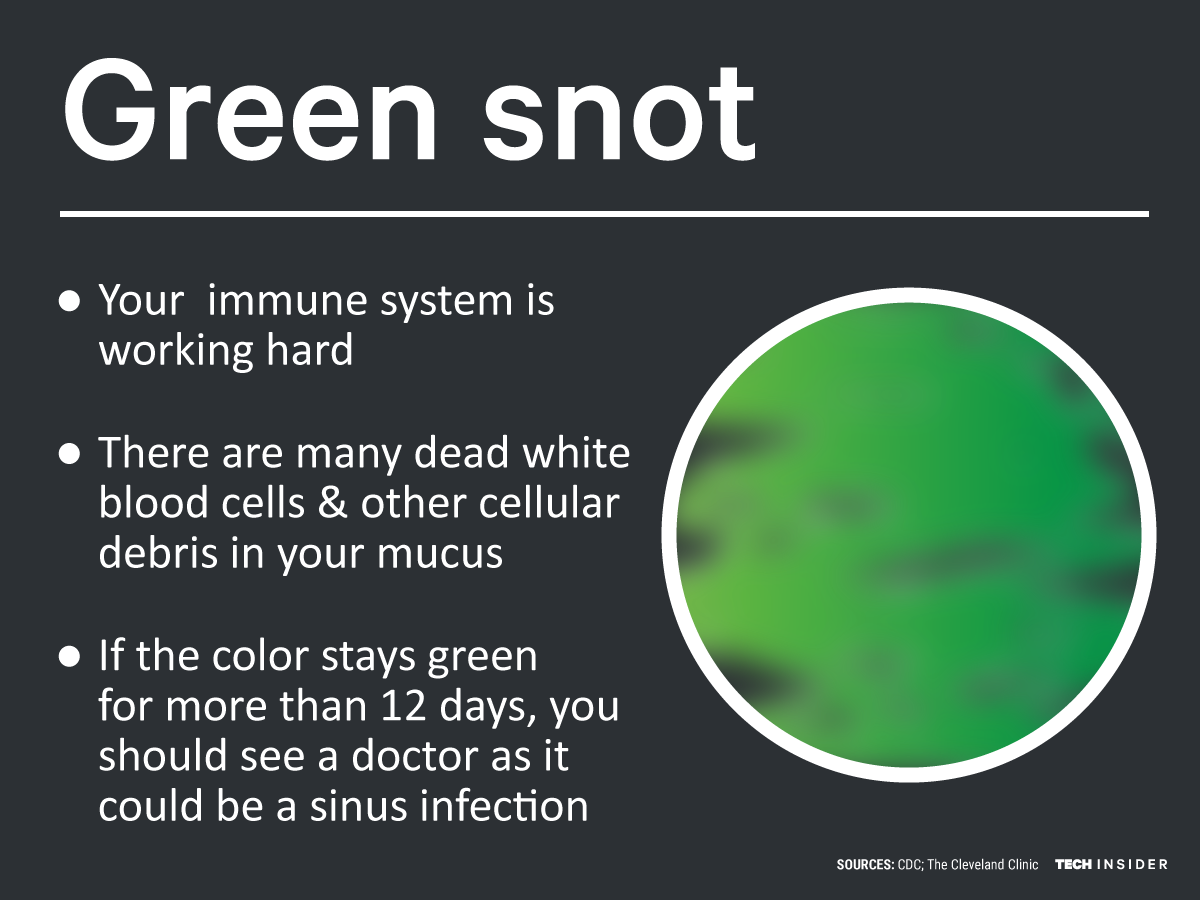 here-s-what-the-color-of-your-snot-really-means-business-insider-india