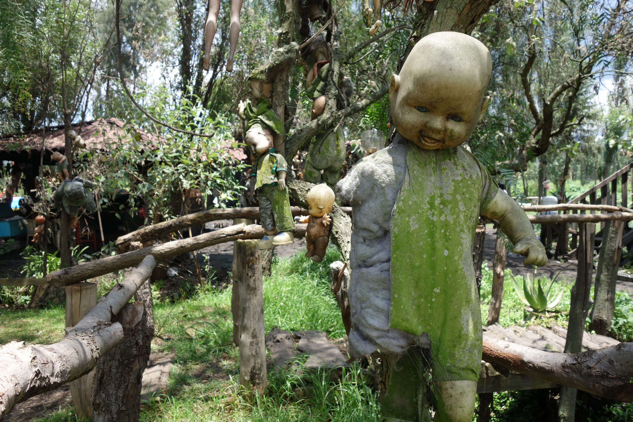 Фото страшных мест в мире. Остров кукол (Island of the Dolls), Мексика. Остров кукол Дон Хулиан Сантана Баррера. Остров кукол (Isla de las Muñecas). Остров кукол - ла Исла де ла Мюнека.