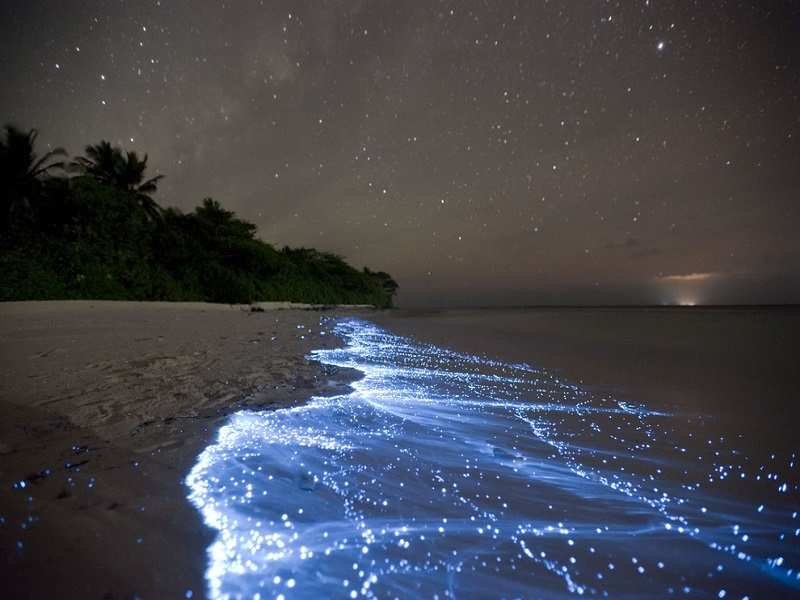 the sea of stars vaadhoo island maldives