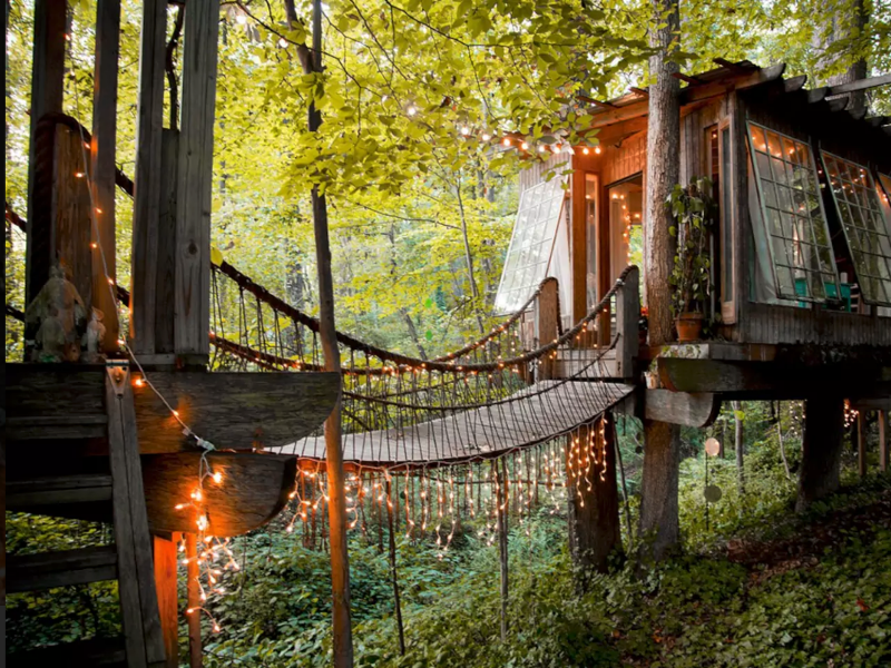 secluded intown treehouse