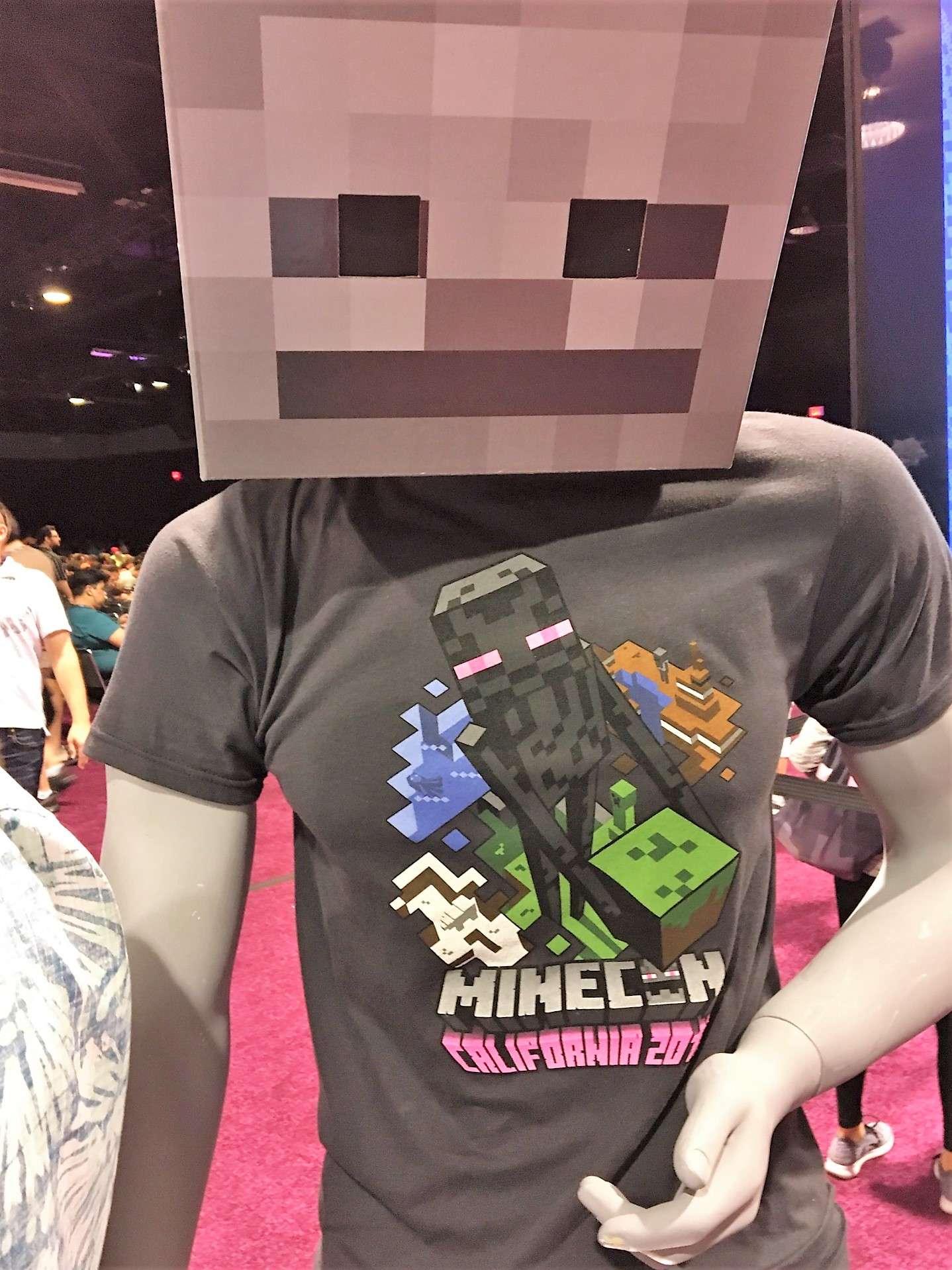Like This T Shirt Mannequin And Cardboard Minecraft Skeleton Head Not Included Though You Can Buy The Head There If You Wanted Business Insider India