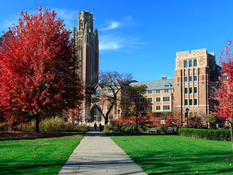 United college. Чикагский университет США. Чикагский университет (University of Chicago), США здание внутри. Лойола университет в Чикаго. Лондон Стейт Юниверсити.