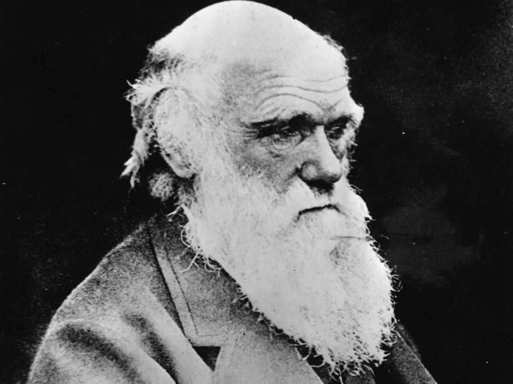 charles-darwin-was-considered-an-average-student-he-gave-up-on-a