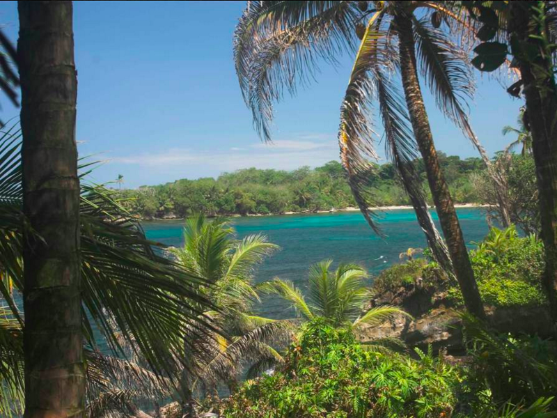 Wild Cane Key island, off the coast of Bastimento in Central America ...