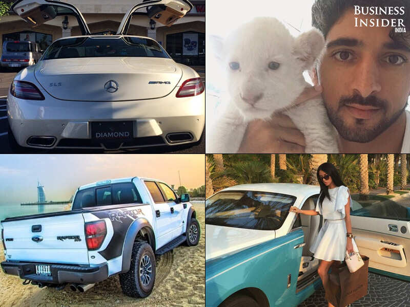 These rich kids of Middle East are flaunting wildcats as pets, mean ...