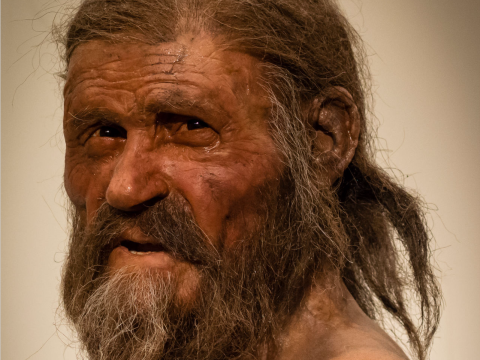 5,300-year-old Otzi the Iceman probably ate prehistoric bacon ...