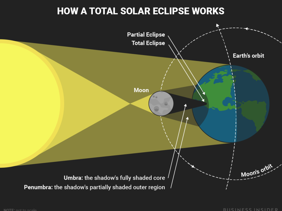 This Diagram Shows What Happens During A Total Solar Eclipse ?139673