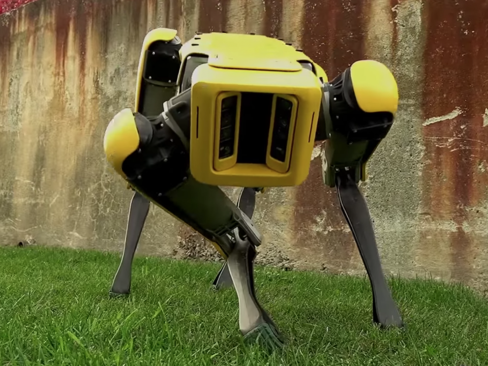 vodafone robot dog