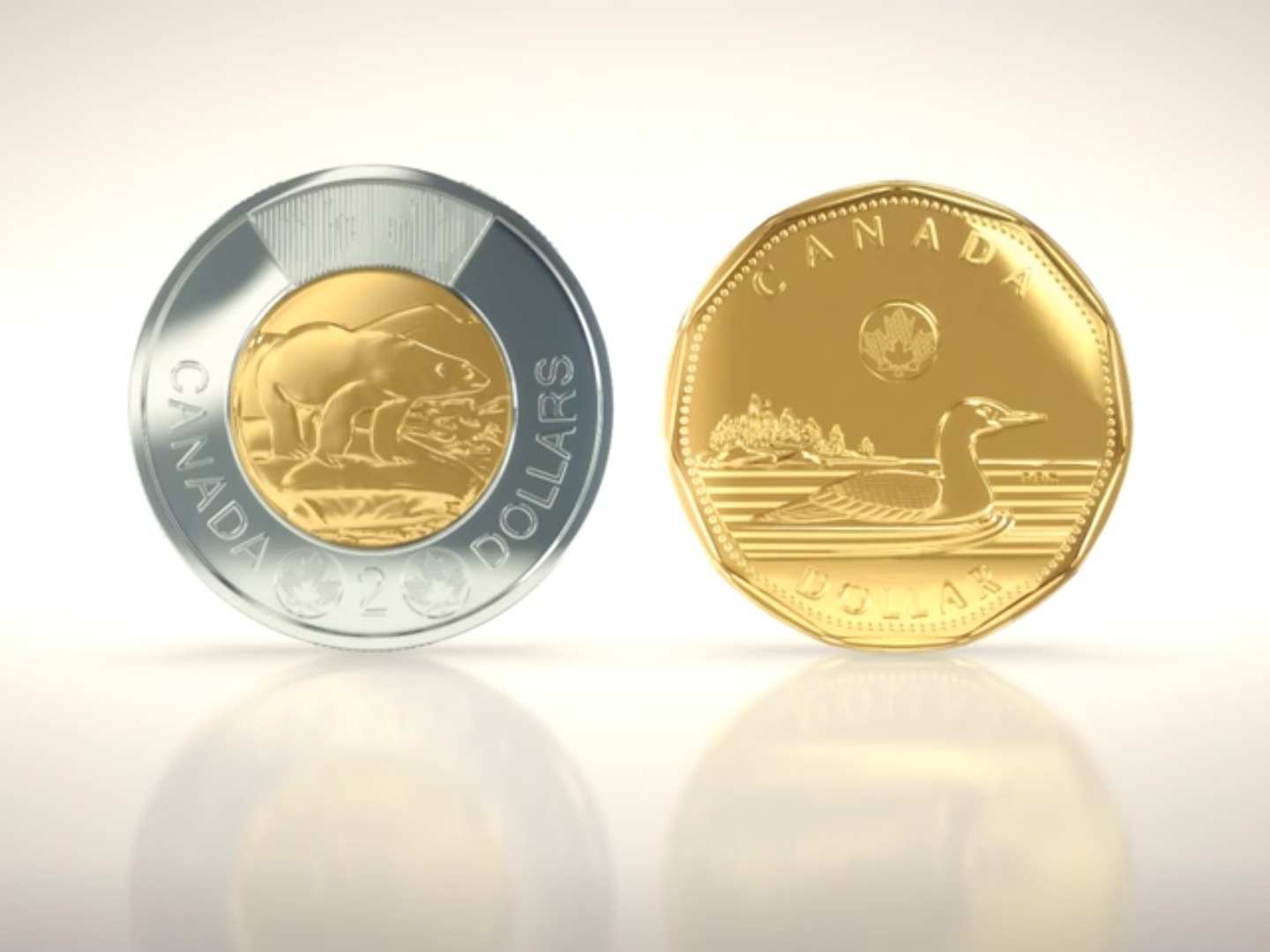 Pieces de. Loonie Canada. Toonie. Royal Canadian Mint monnaie Royale canadienne. Информация про Loonie Toonie.