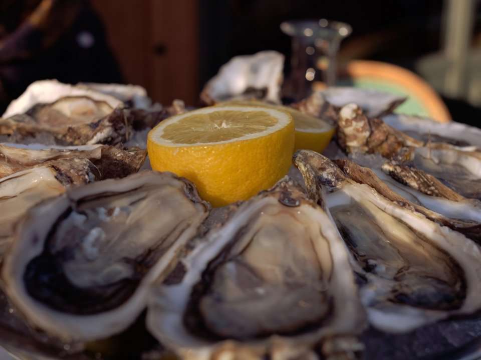 A Florida man died of flesh-eating bacteria after eating raw oysters ...