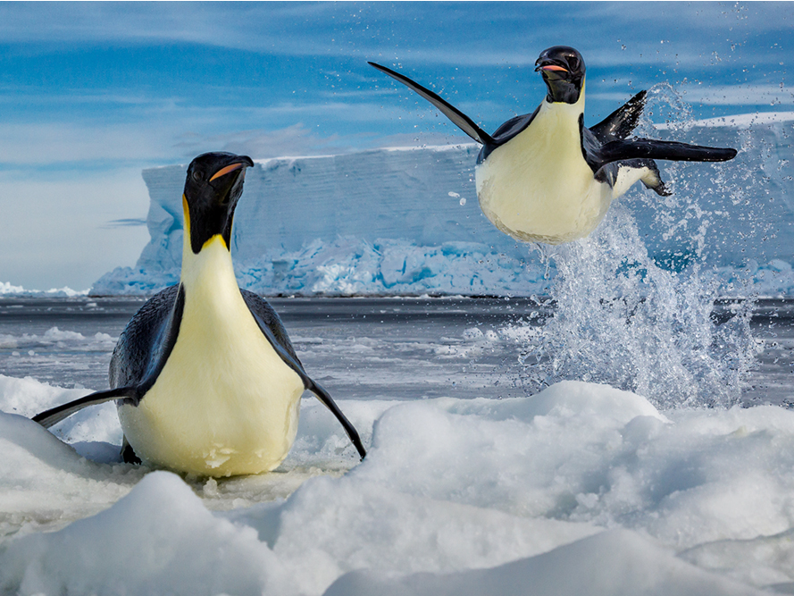 A National Geographic photographer's new book shows how stunning