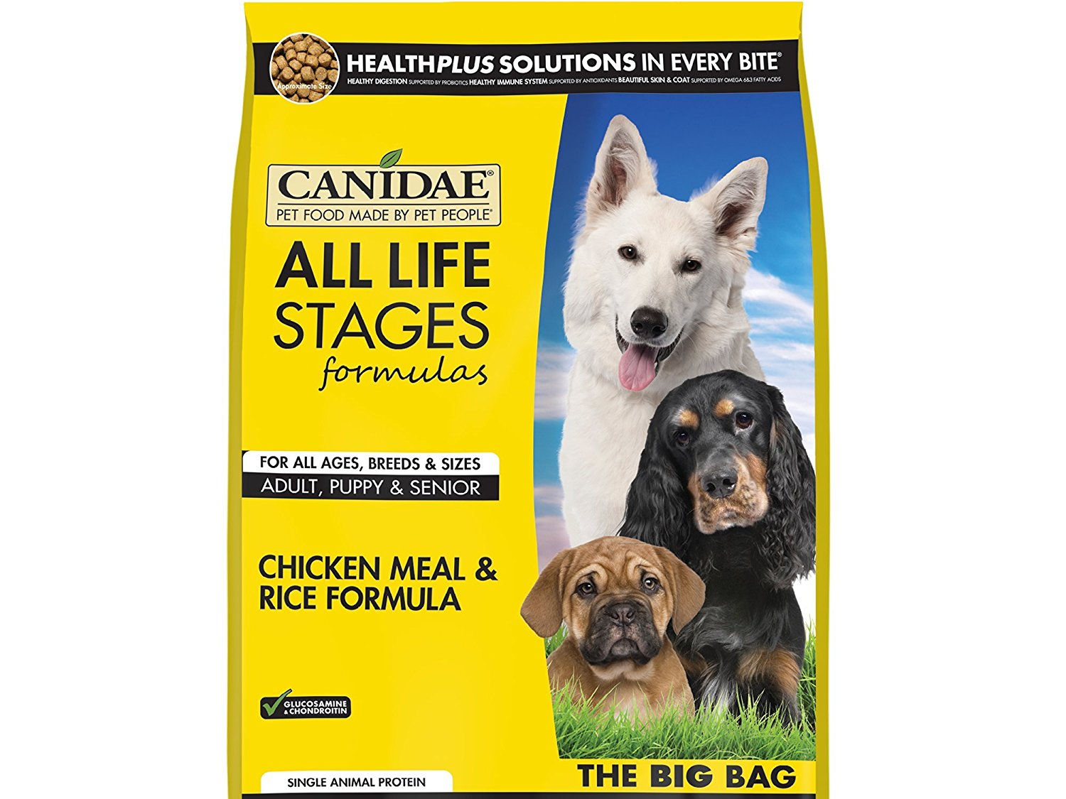 The best dry dog food Business Insider India