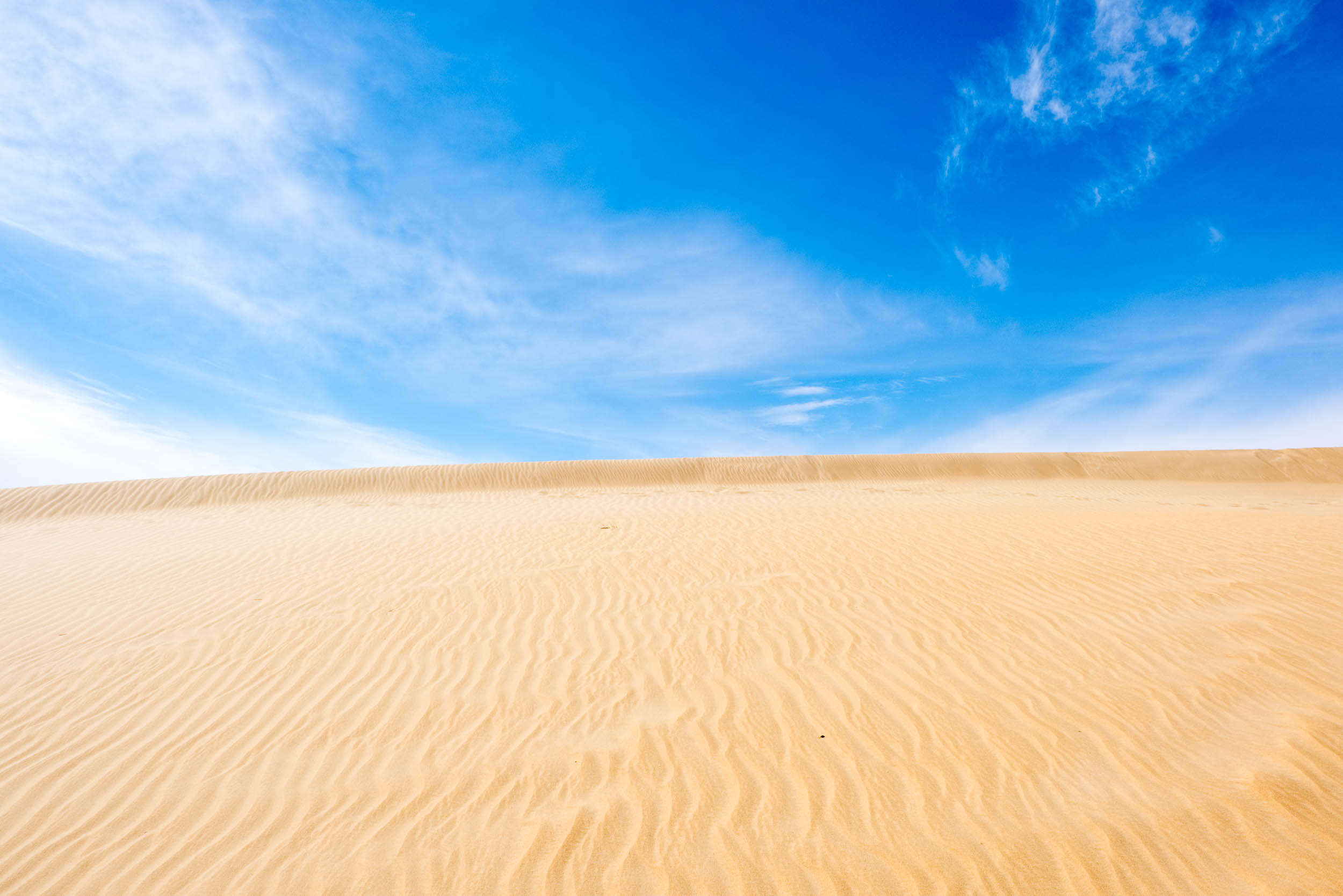 The dune is part of the Abu Muharrik dune system, the longest dune ...