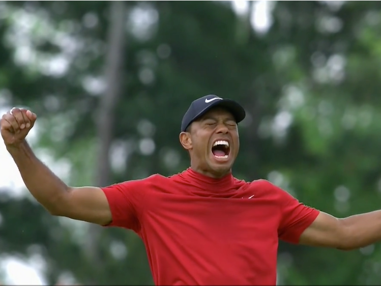 Tiger Woods Wins The Masters | Business Insider India