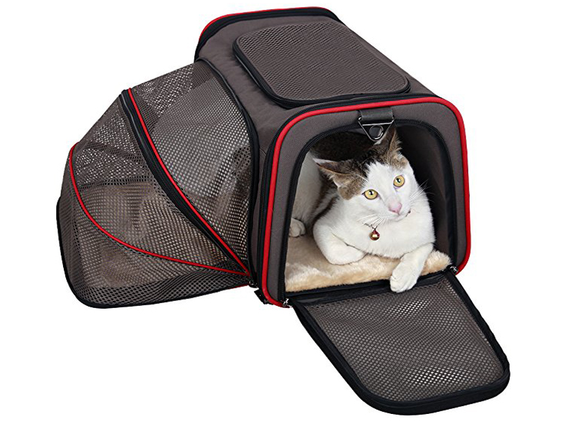 cat carrier for international flight