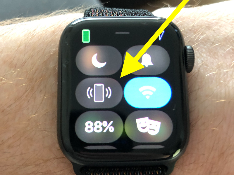 You should be able to ping your Apple Watch from your iPhone