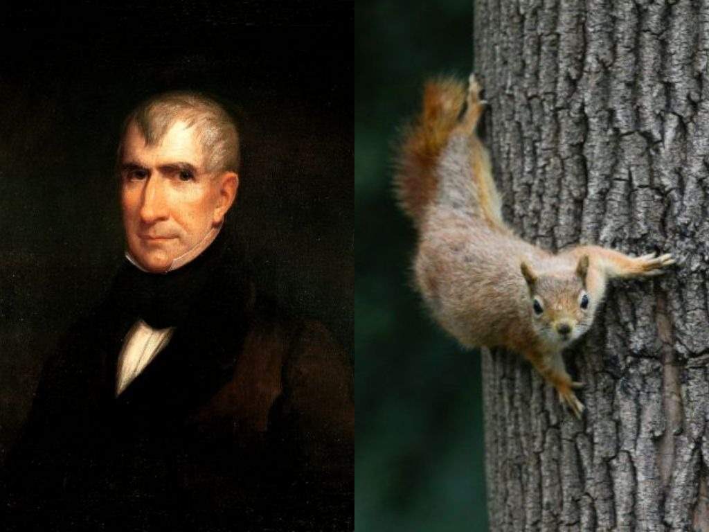 William Henry Harrison: Squirrel stew | Business Insider India