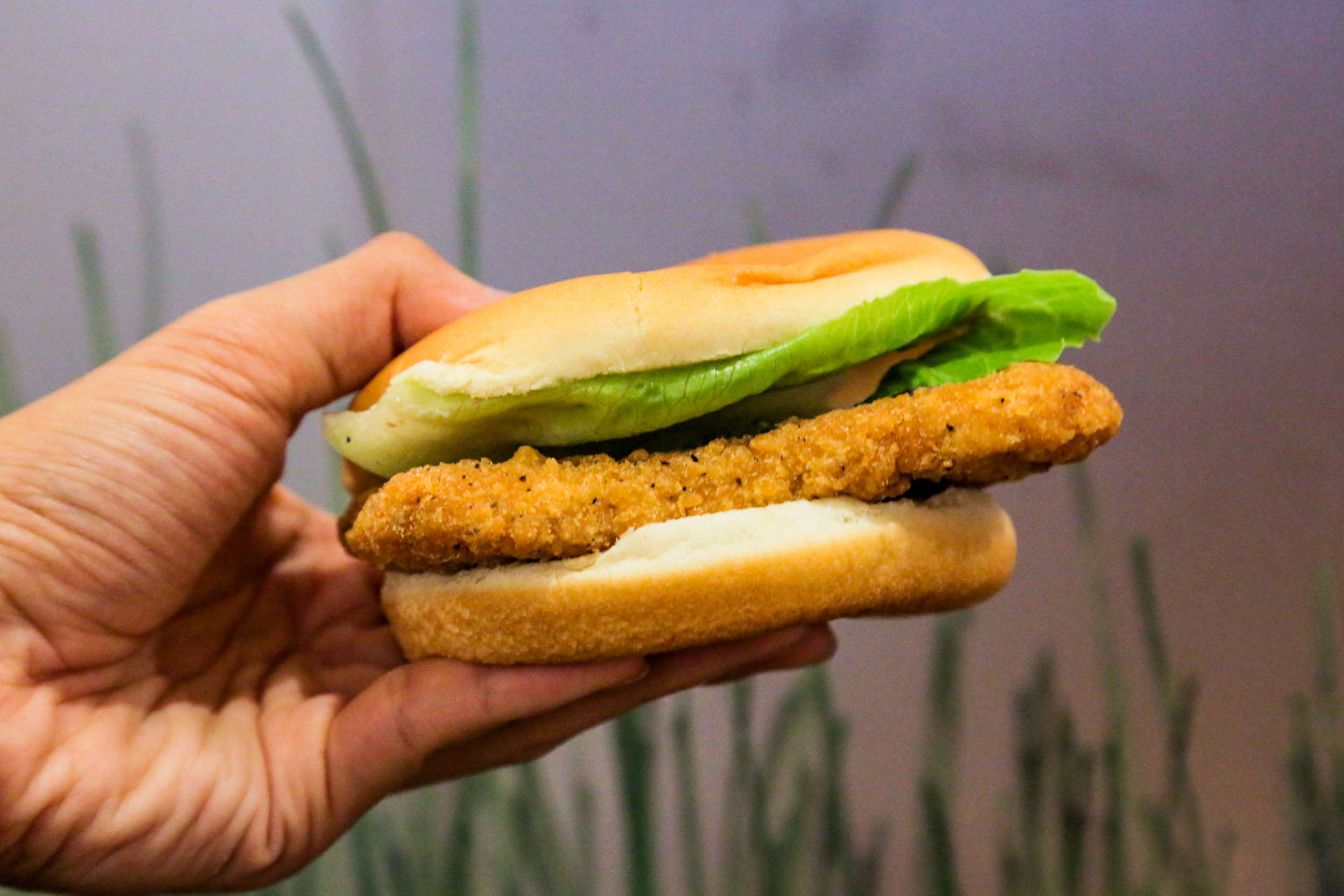 Wendy's Crispy Chicken sandwich looks... familiar. The only visual ...